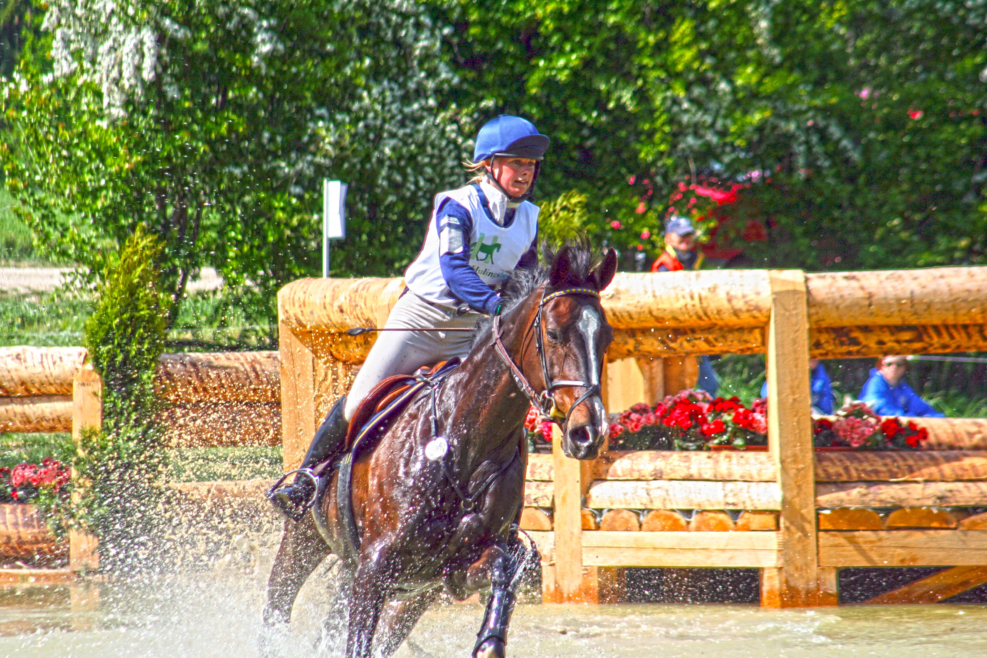 action, vertebrate, domestic animals, ride, sport, water, outdoors, brown, hdr, eventing, activity, movement, 2K, terrain, motion, tree, versatility, horse, HD Wallpaper
