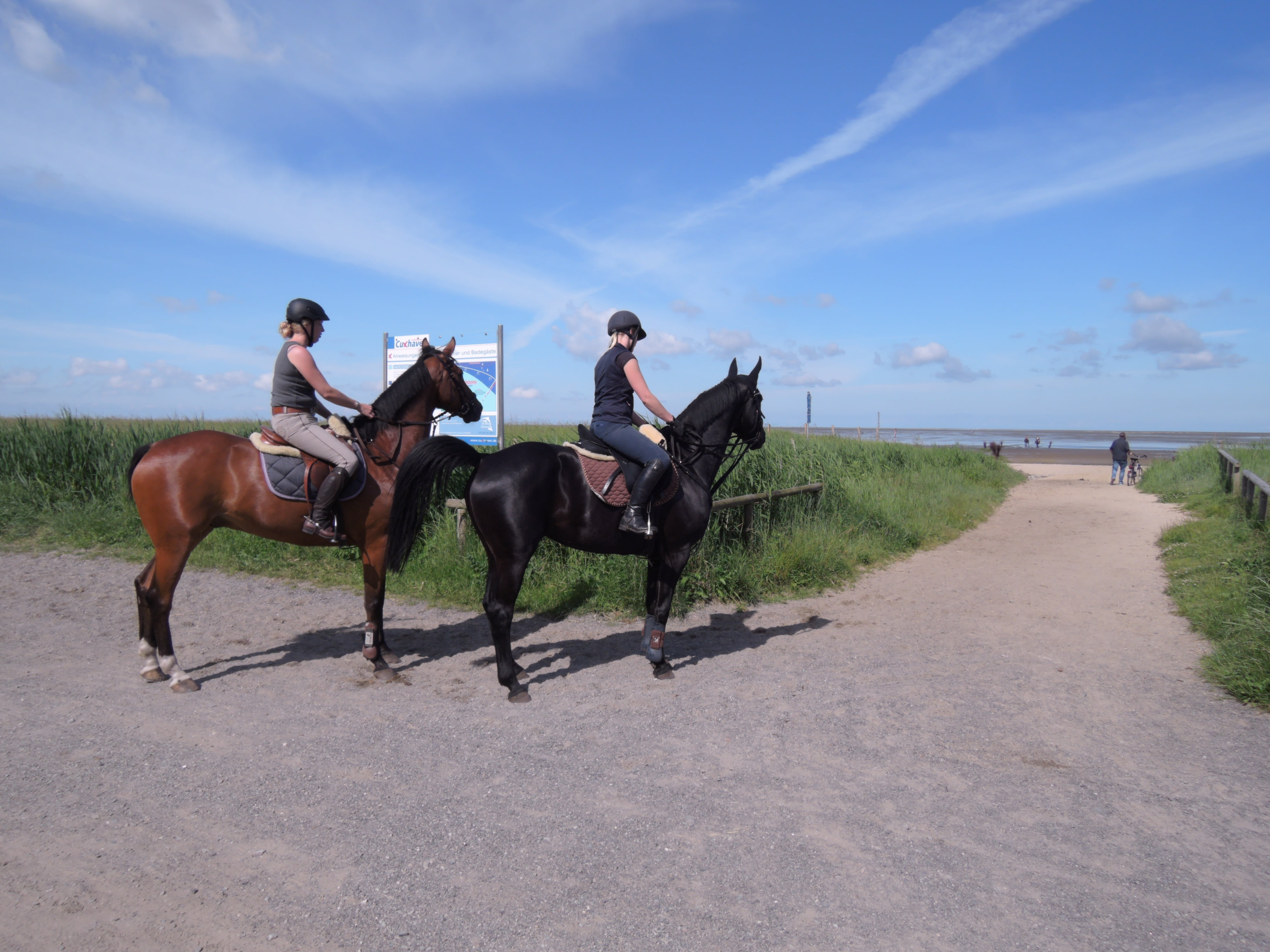 beach, domestic, horse, herbivorous, activity, lifestyles, horses, livestock, animal wildlife, horsewoman, vertebrate, mammal, horseback riding, day, north sea, HD Wallpaper
