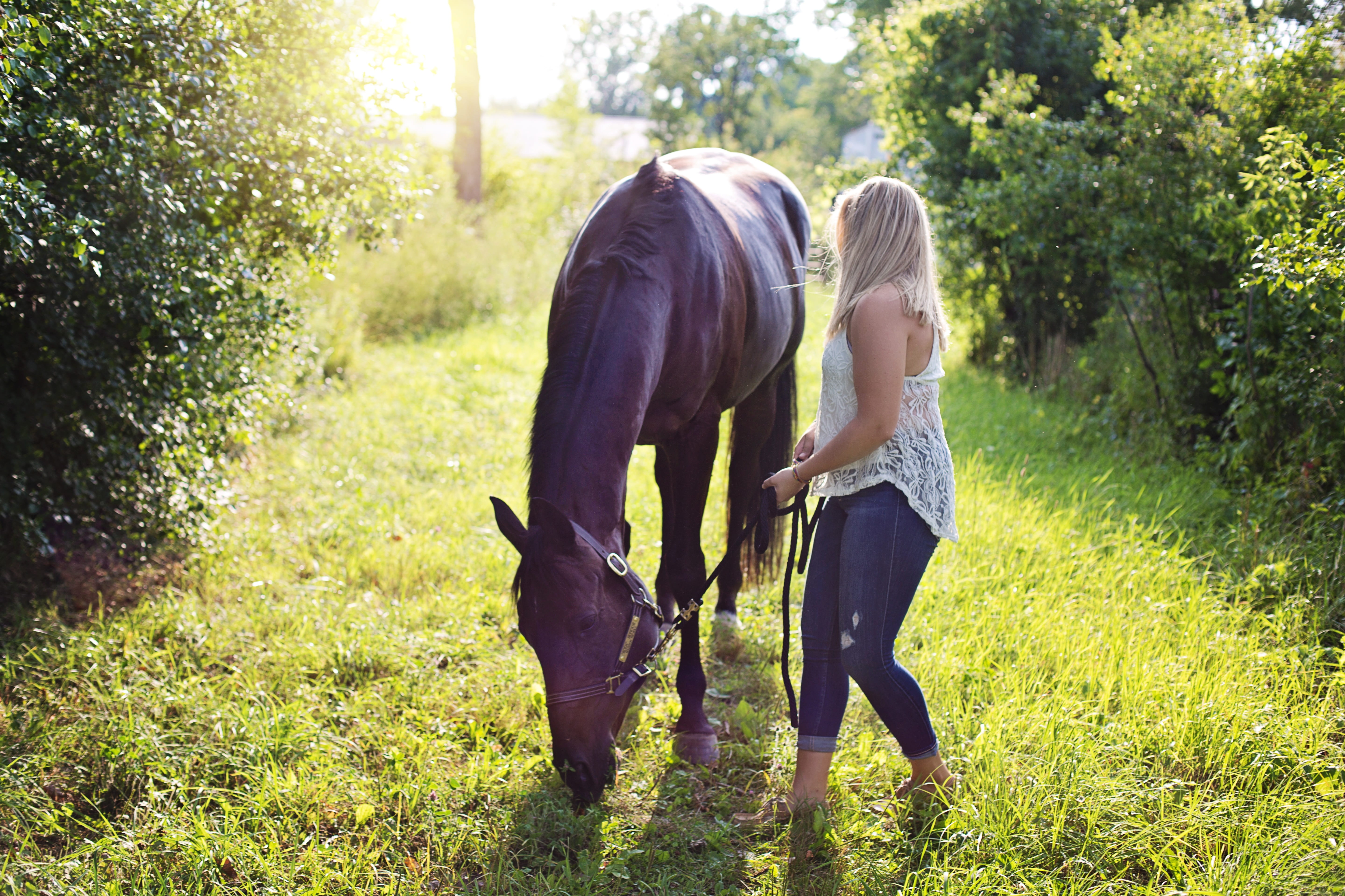 green color, adult, horsewoman, holding, animal, domestic animals, outdoors, field, tree, woman, herbivorous, grass, rope, white, hairstyle, horse, mammal, HD Wallpaper