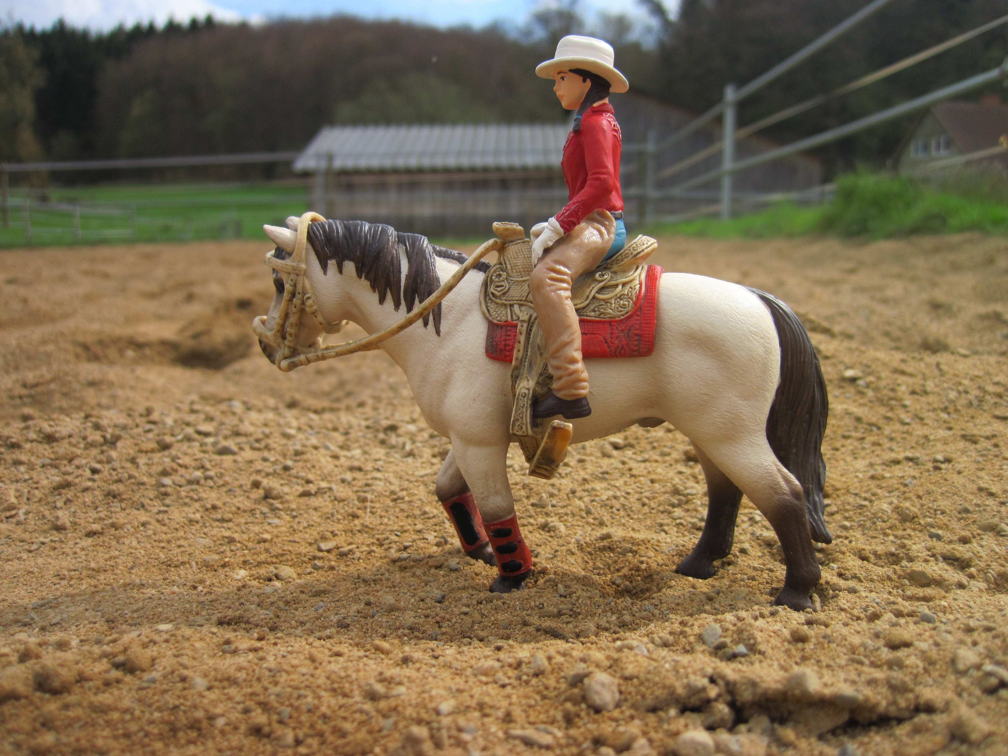 one animal, land, hat, slow horse, domestic, slow action figure, pets, Toys, livestock, full length, herbivorous, western, real people, 4K, vertebrate, HD Wallpaper