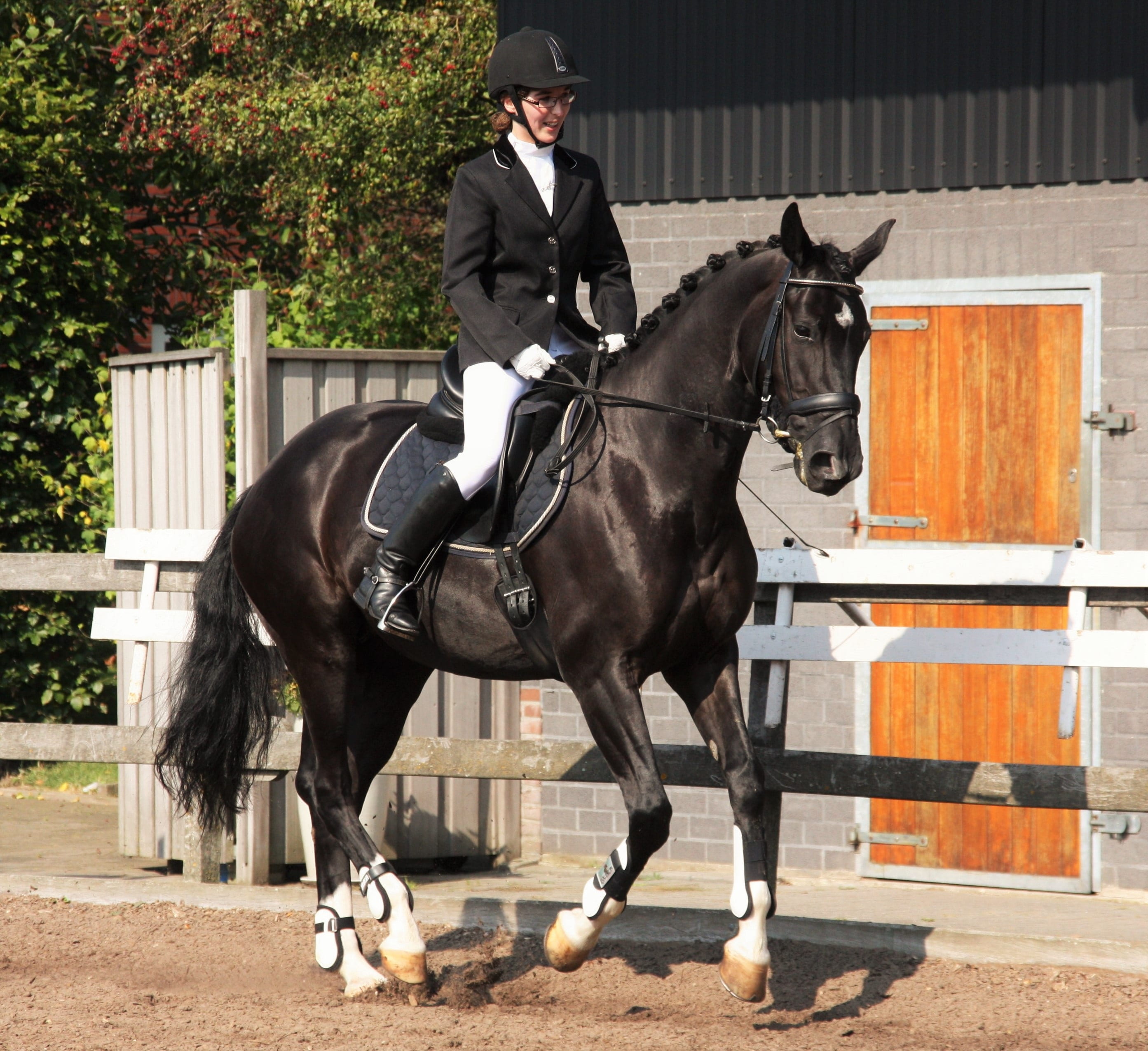 dressage, activity, outdoors, horse, full length, horsewoman, leisure activity, one person, equestrian, domestic, sports helmet, ride, mounted, rap, gallop, HD Wallpaper