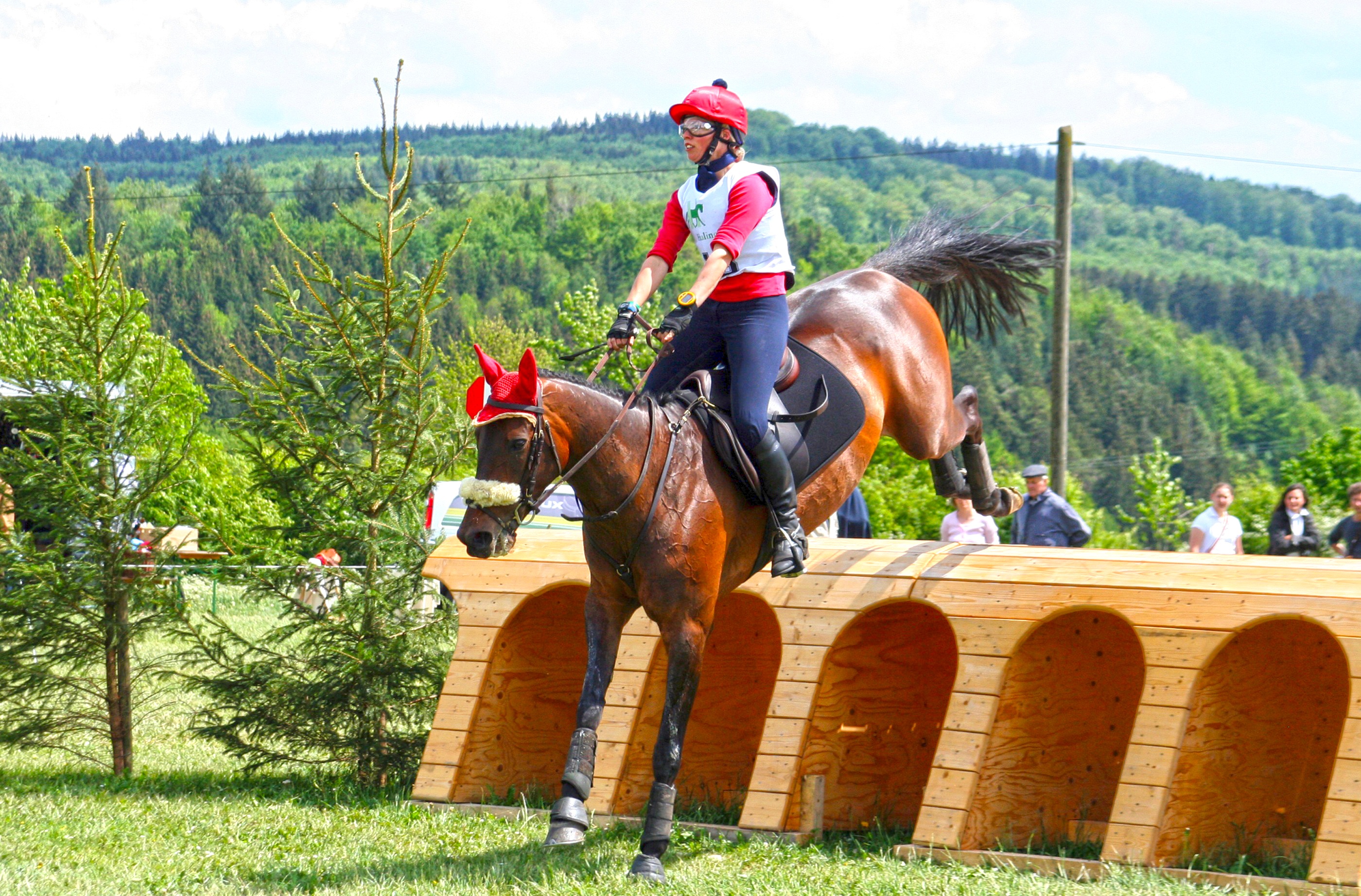 animal, terrain, horse, vertebrate, nature, working animal, activity, horsewoman, versatility examination, mammal, domestic animals, action, animal themes, HD Wallpaper
