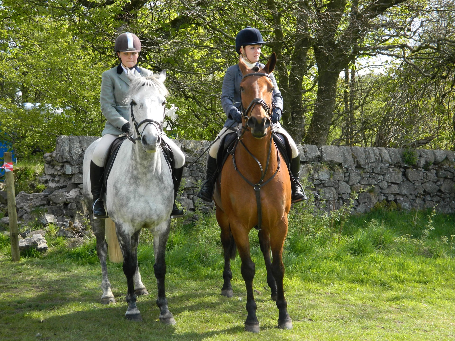 real people, plant, animal, outdoors, horse, domestic, men, domestic animals, ride, horseback Riding, women, rider, animal wildlife, 1080P, equestrienne, HD Wallpaper