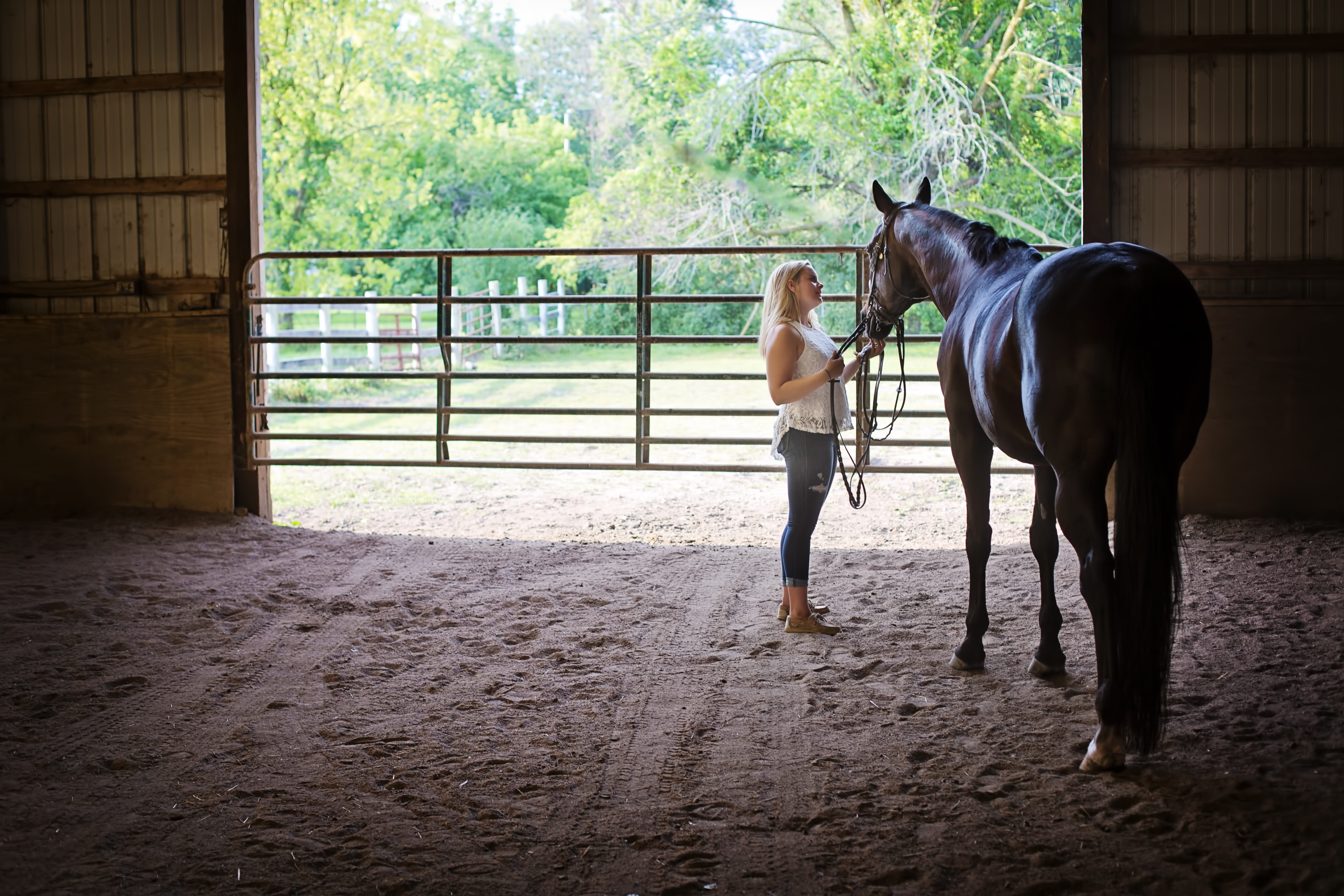 livestock, day, women, equestrian, animal, females, leash, animal wildlife, 5K, woman, one animal, one person, black, summer, equine, care, horsewoman, HD Wallpaper