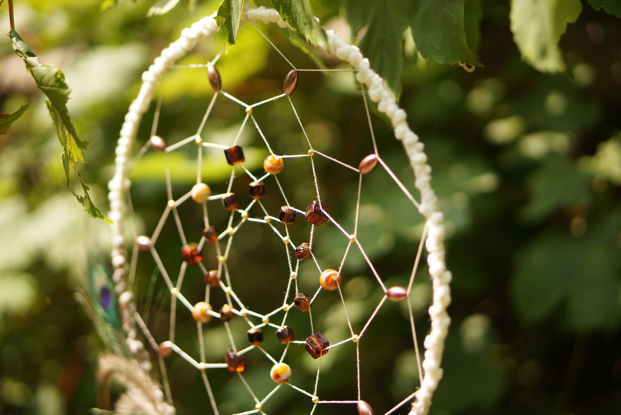 tree, growth, beads, shallow, benefit from, dream catcher, cactus, creative, nature, plant, focus, focus on foreground, fragility, pattern, dream, vulnerability, HD Wallpaper