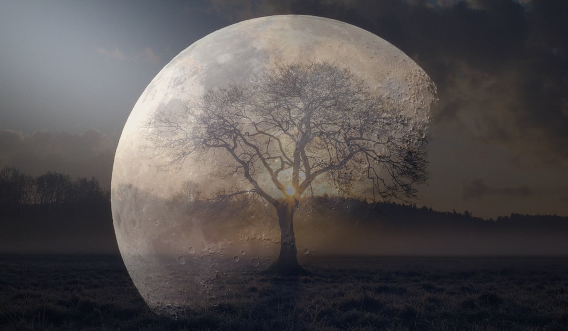 landscape, tranquil scene, space, environment, digital composite, super moon, full moon, plant, field, tree, mysterious, nature, no people, illusion, astronomy, HD Wallpaper
