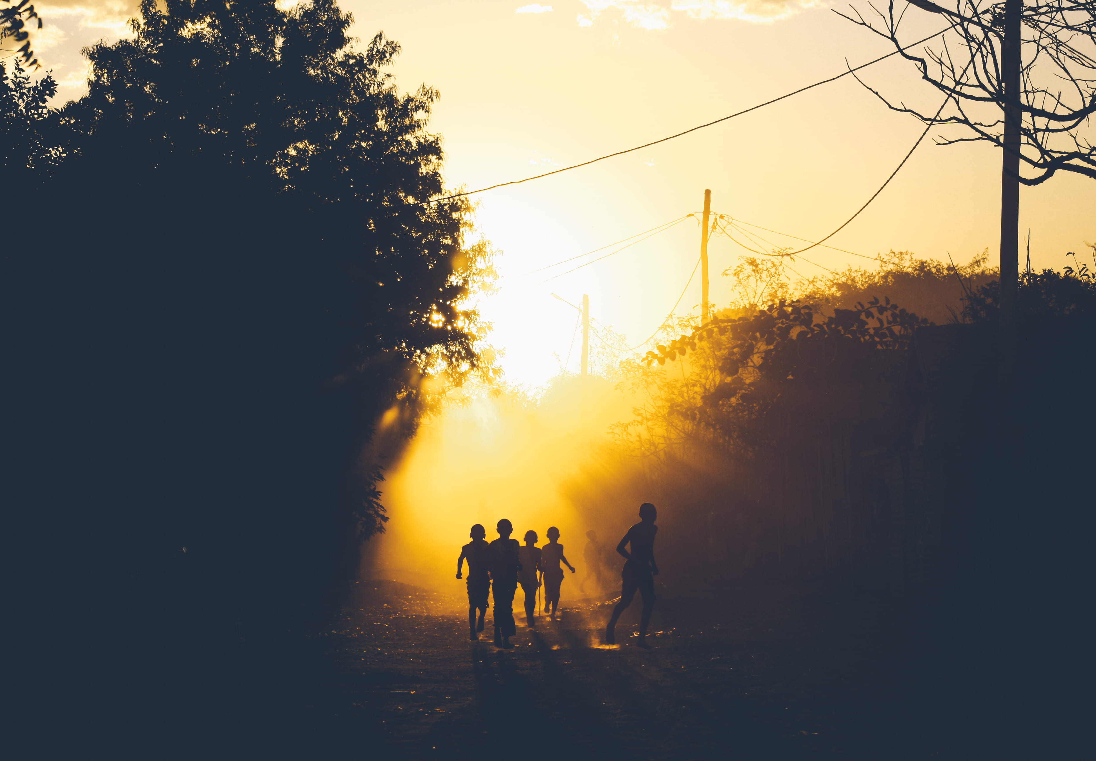 sillouette, orange color, city, hour, plant, medium group of people, group of people, people, sunset, men, real people, tree, leisure activity, lifestyles, HD Wallpaper