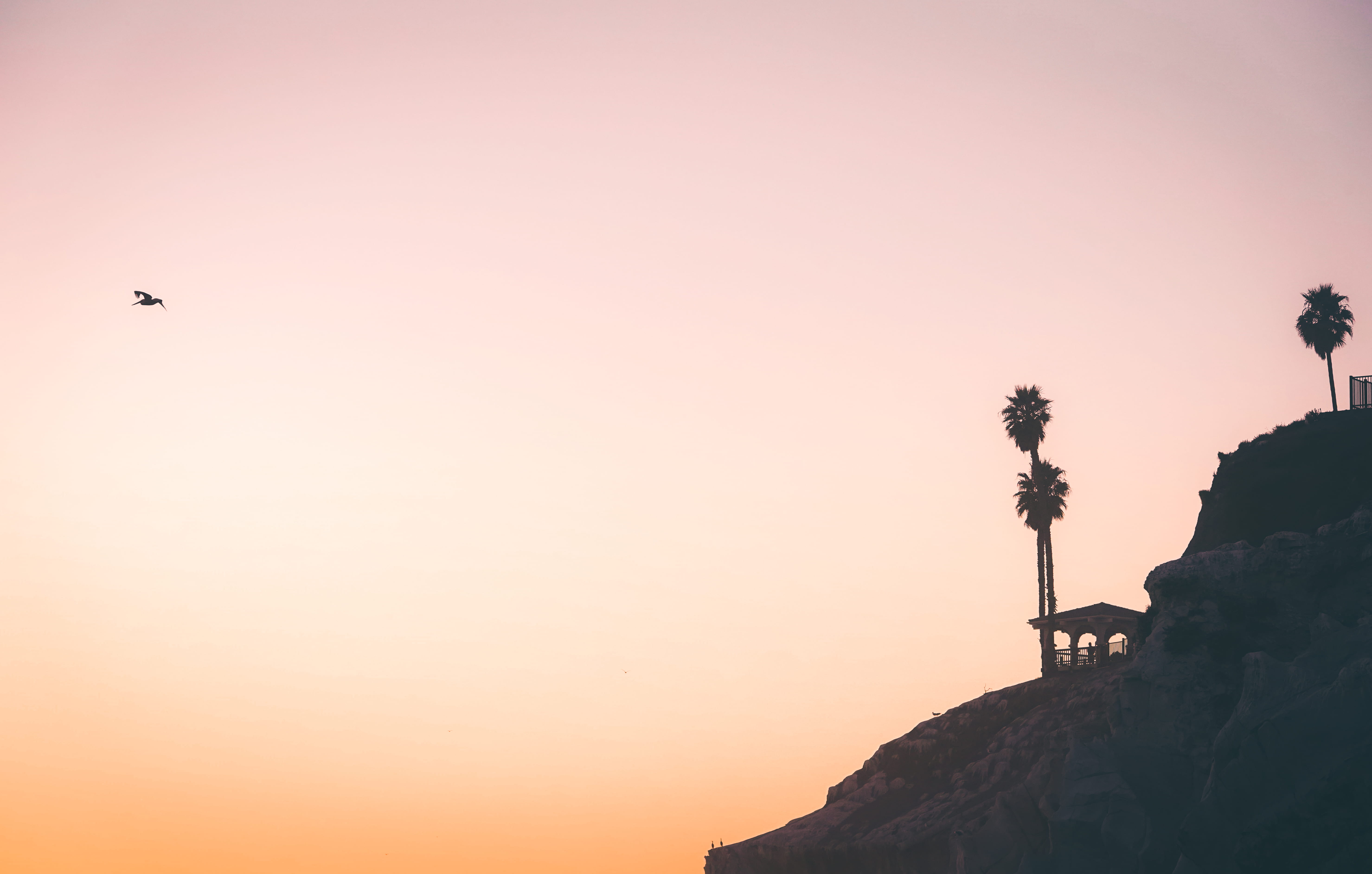 solid, hill, photo, copy space, sky, west, wafe, pelican, cliff, bird, scenics - nature, 5K, palm tree, summer, nature, tranquil scene, west coast, person, HD Wallpaper
