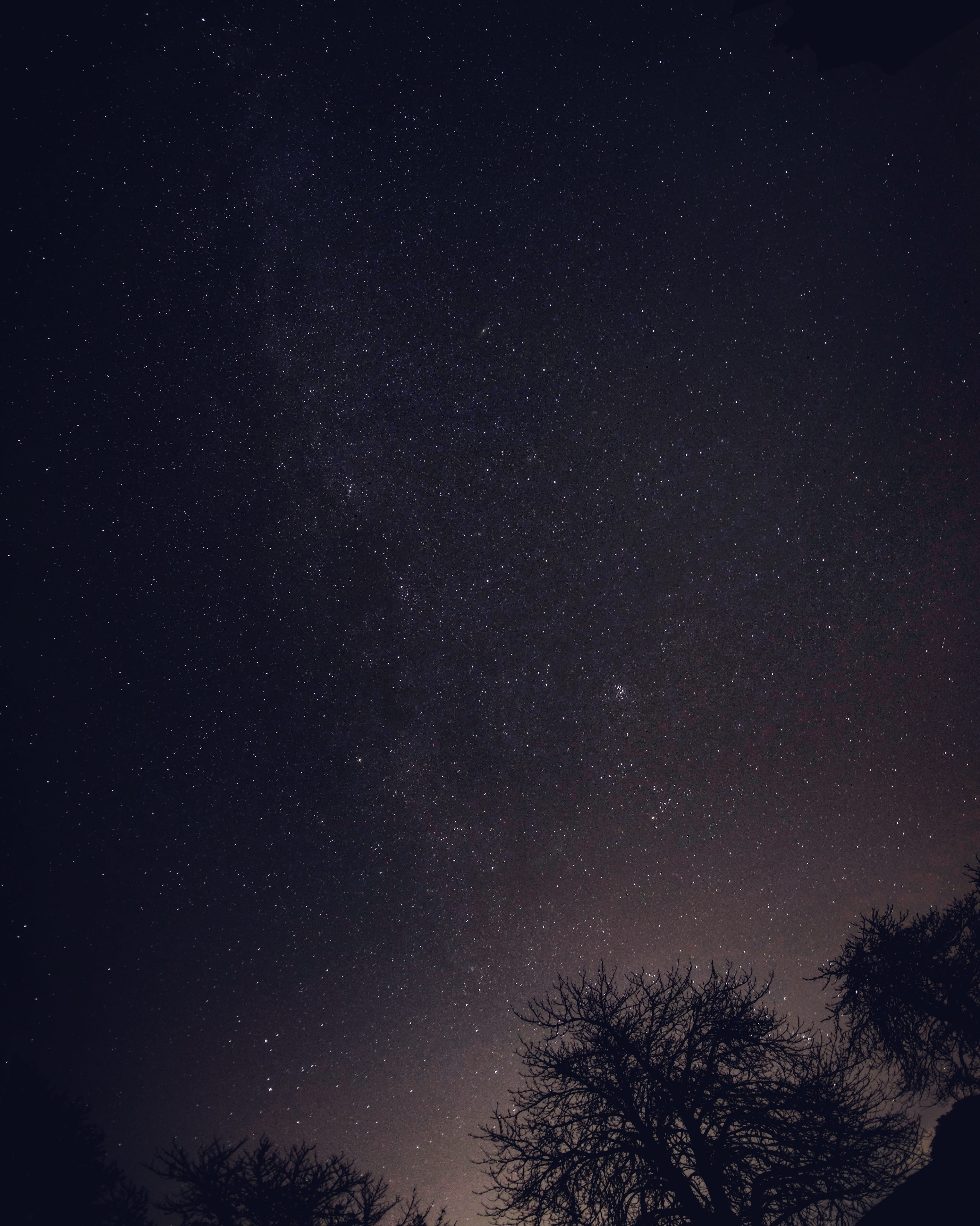 scenics - nature, tree, tranquil scene, black, space and astronomy, nighttime, nightsky, planet, star - space, star, tranquility, infinity, beauty in nature, Phone HD Wallpaper