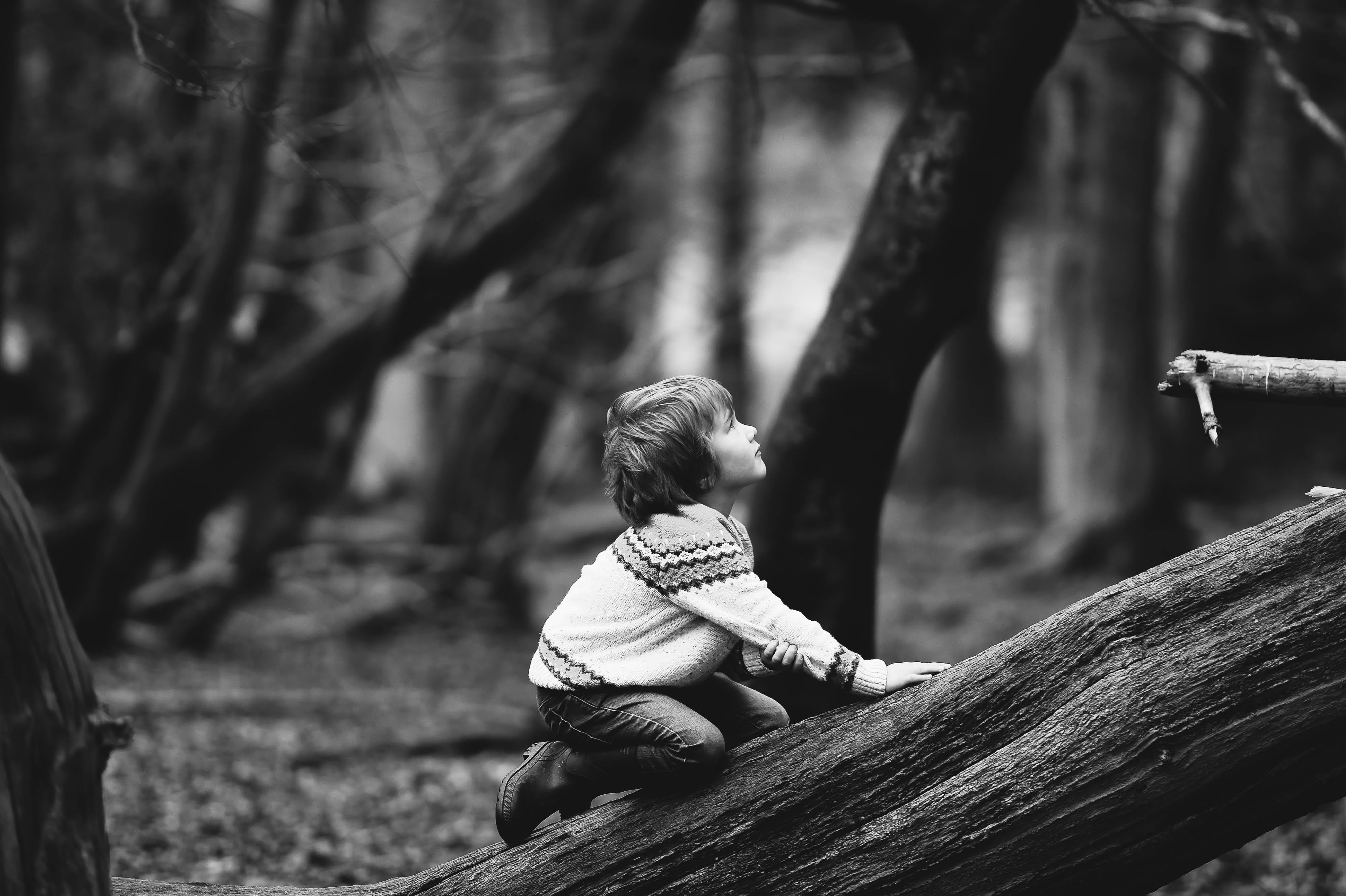 fallen, 4K, women, tree, wood - material, casual clothing, day, curiosidad, trunk, kneeling, instante, timber, person, outdoors, childhood, focus on foreground, HD Wallpaper