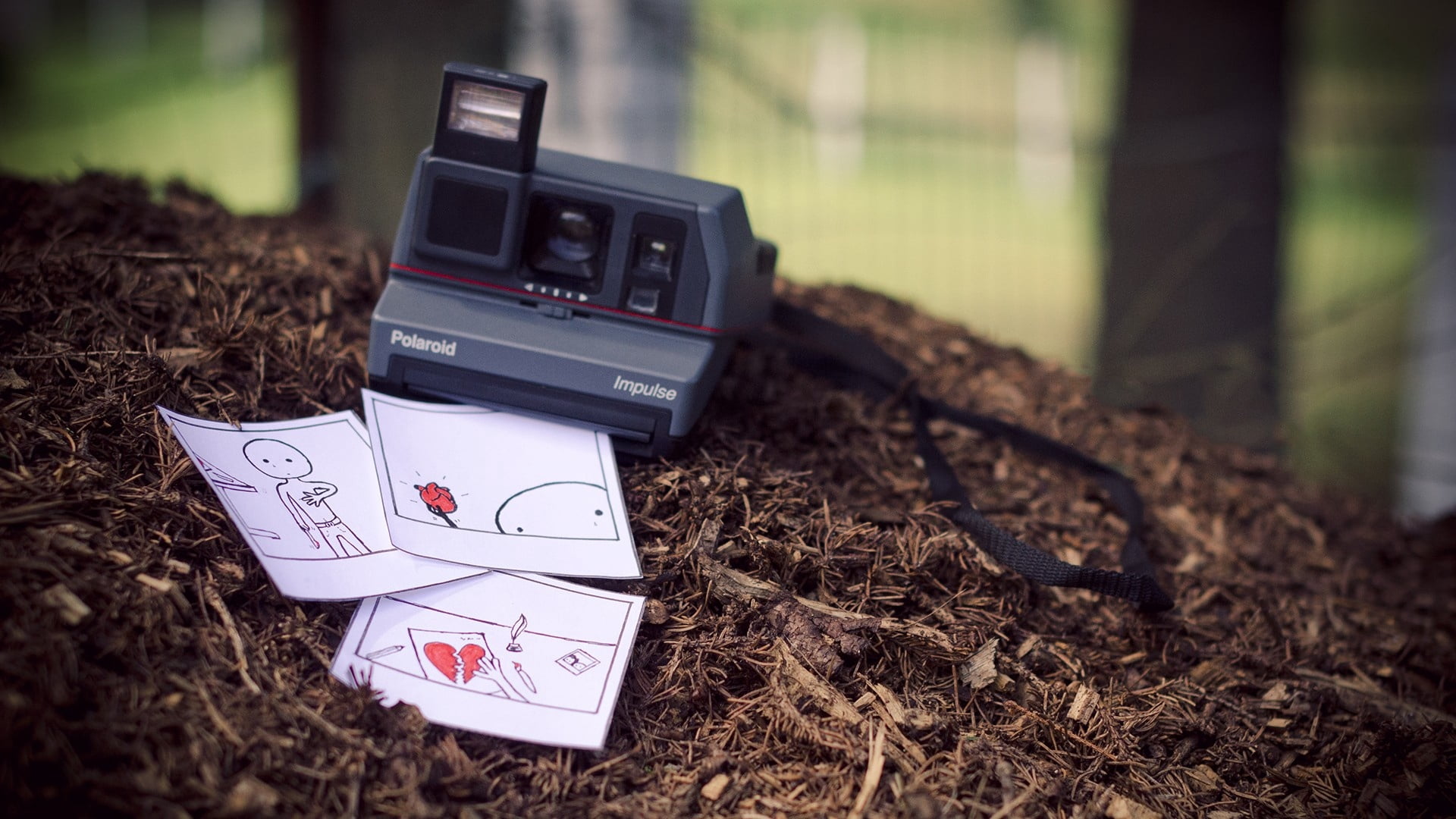 field, photography themes, wireless technology, plant, grass, instant, forest, tree, concepts, communication, day, pictures, ideas, nature, no People, polaroid, HD Wallpaper