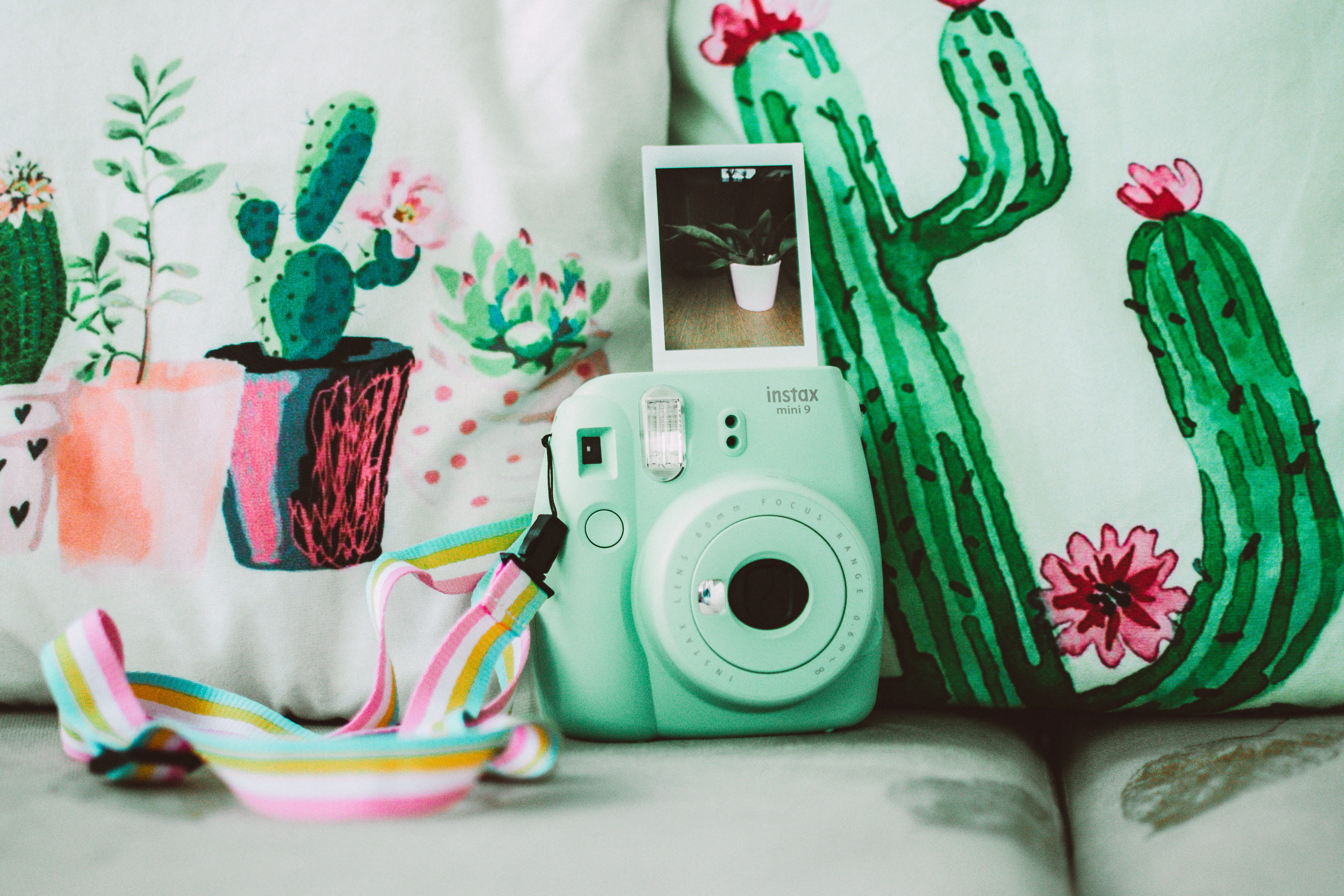 near, pink color, floral pattern, technology, representation, still life, multi colored, camera - photographic equipment, couch, creativity, home interior, HD Wallpaper