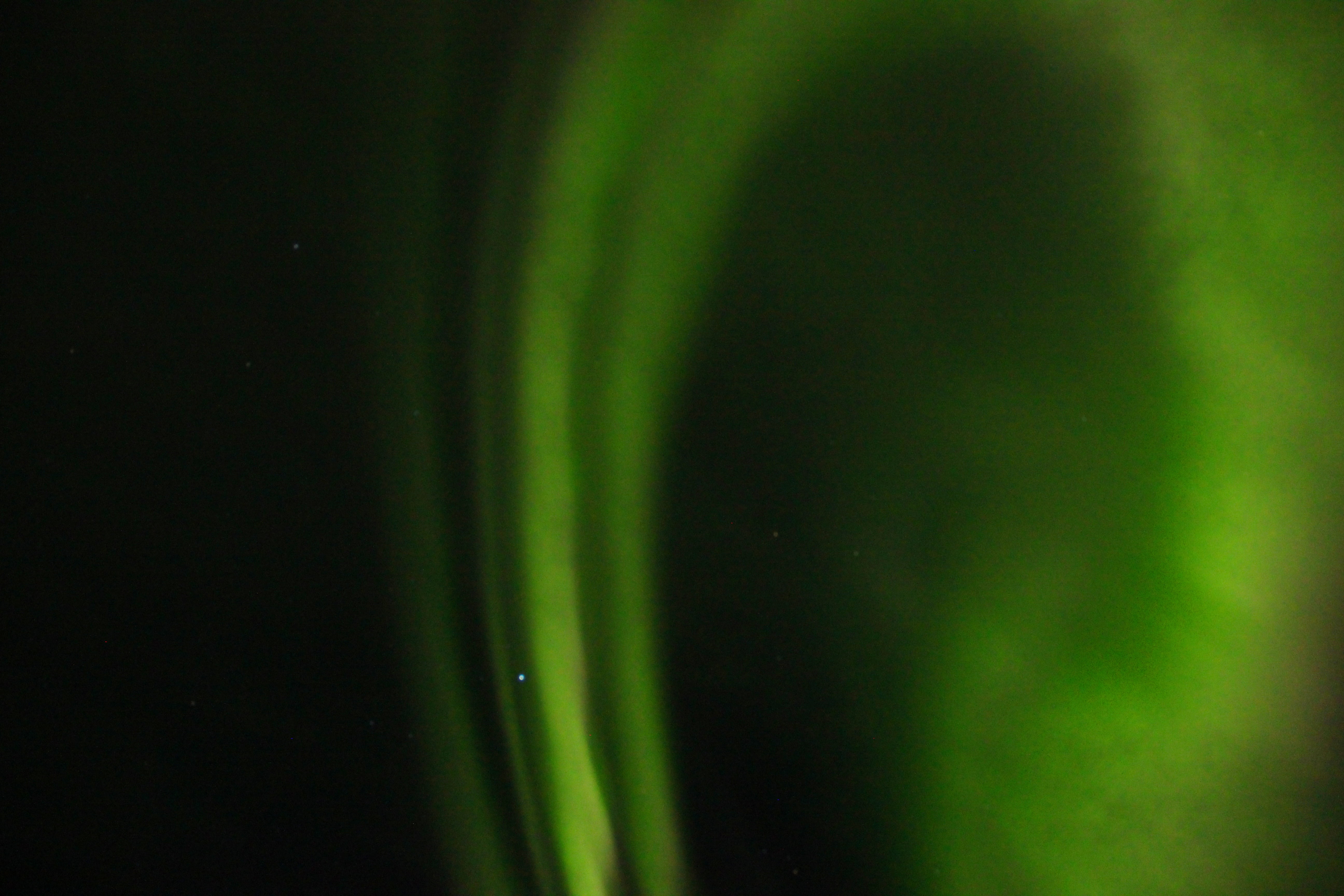 tranquility, astronomy, backgrounds, beauty in nature, bright, 5K, nature, pattern, northern lights, solar wind, aurora borealis, motion, aurora, green, HD Wallpaper