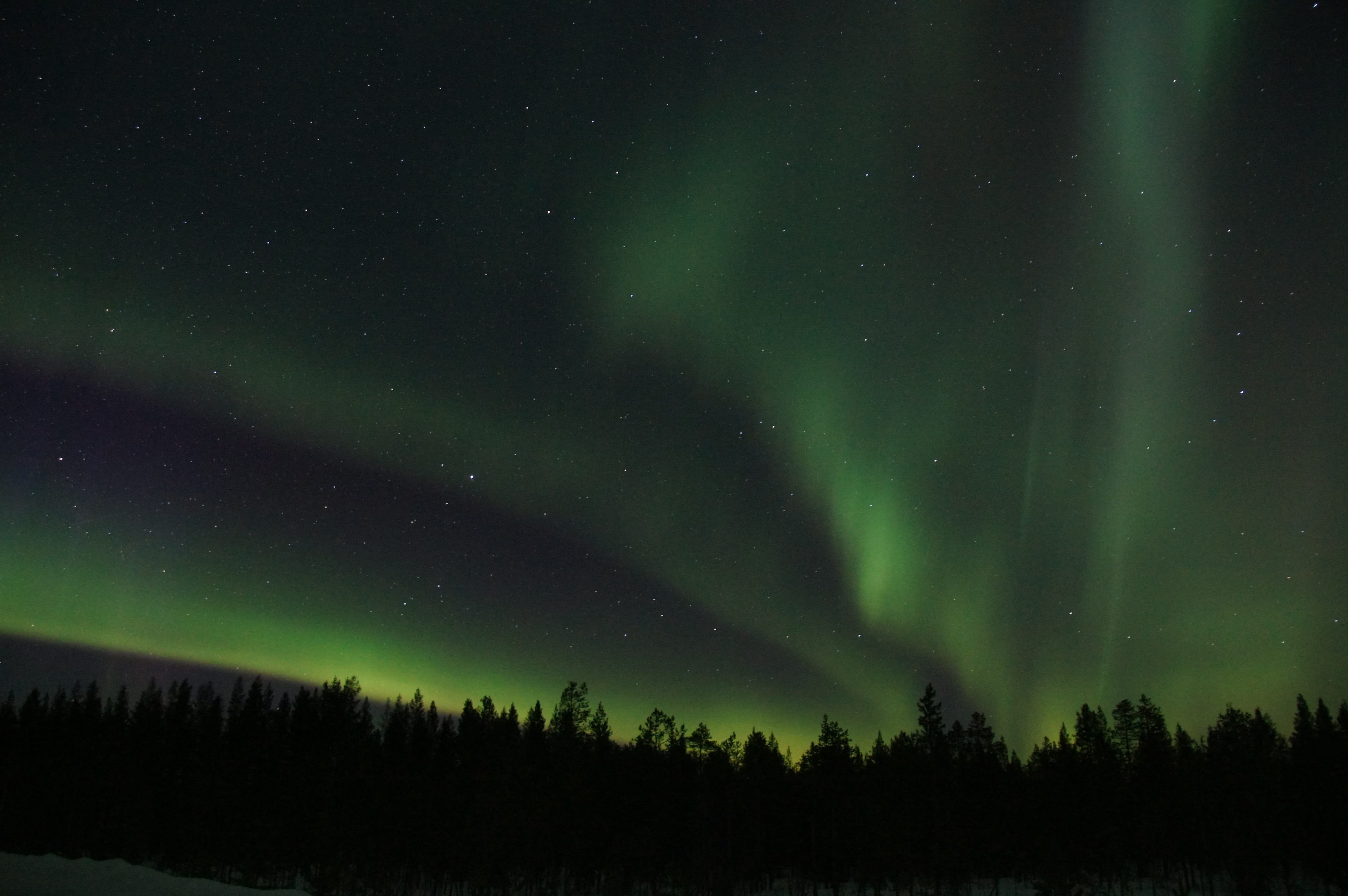 aurora polaris, landscape, light phenomenon, green, no people, light, nature, green color, aurora, silhouette, scenics - nature, environment, non-urban scene, HD Wallpaper
