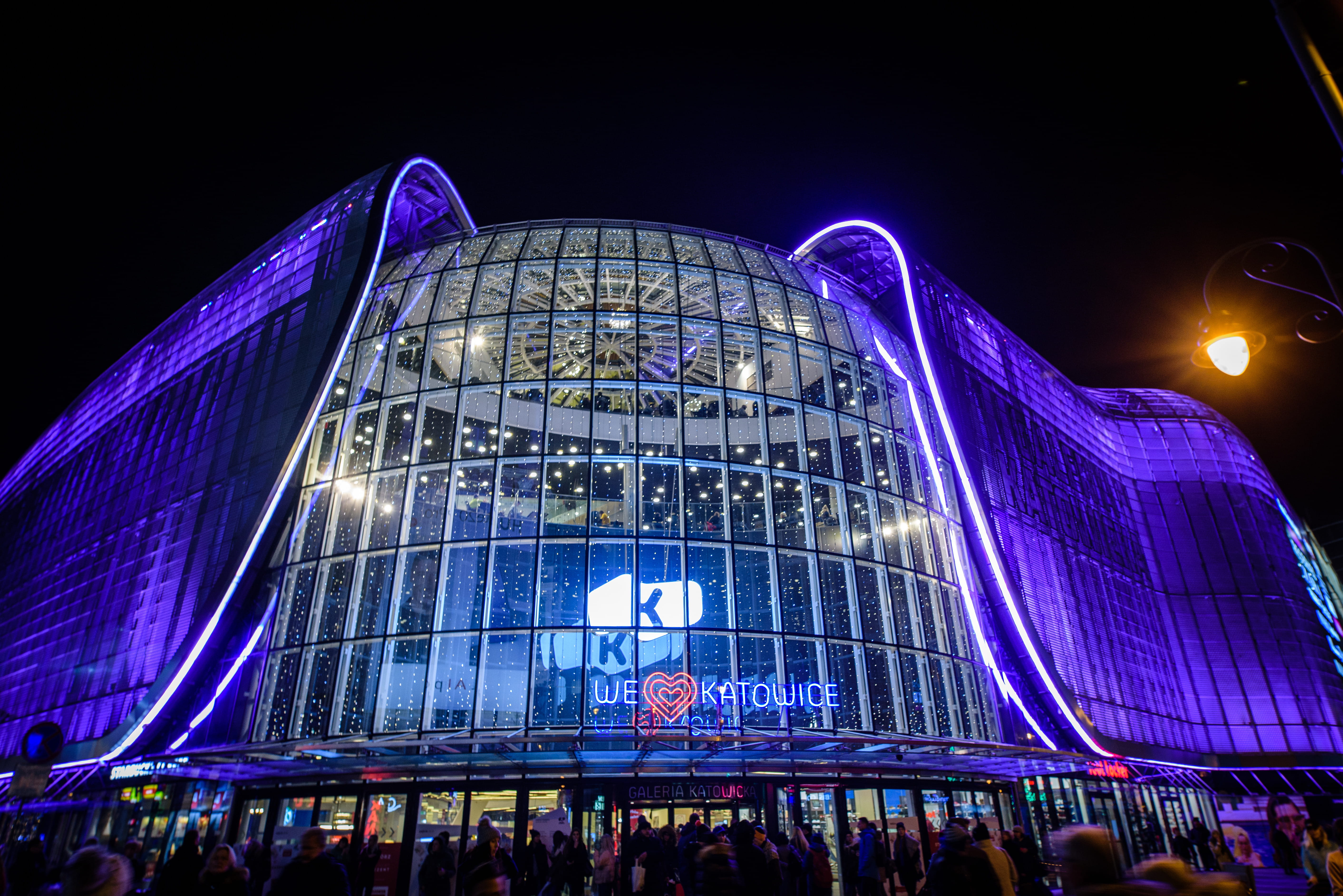 group of people, neon, building, nature, city, incidental people, outdoors, illuminated, nightlife, night, building exterior, built structure, low angle view, HD Wallpaper