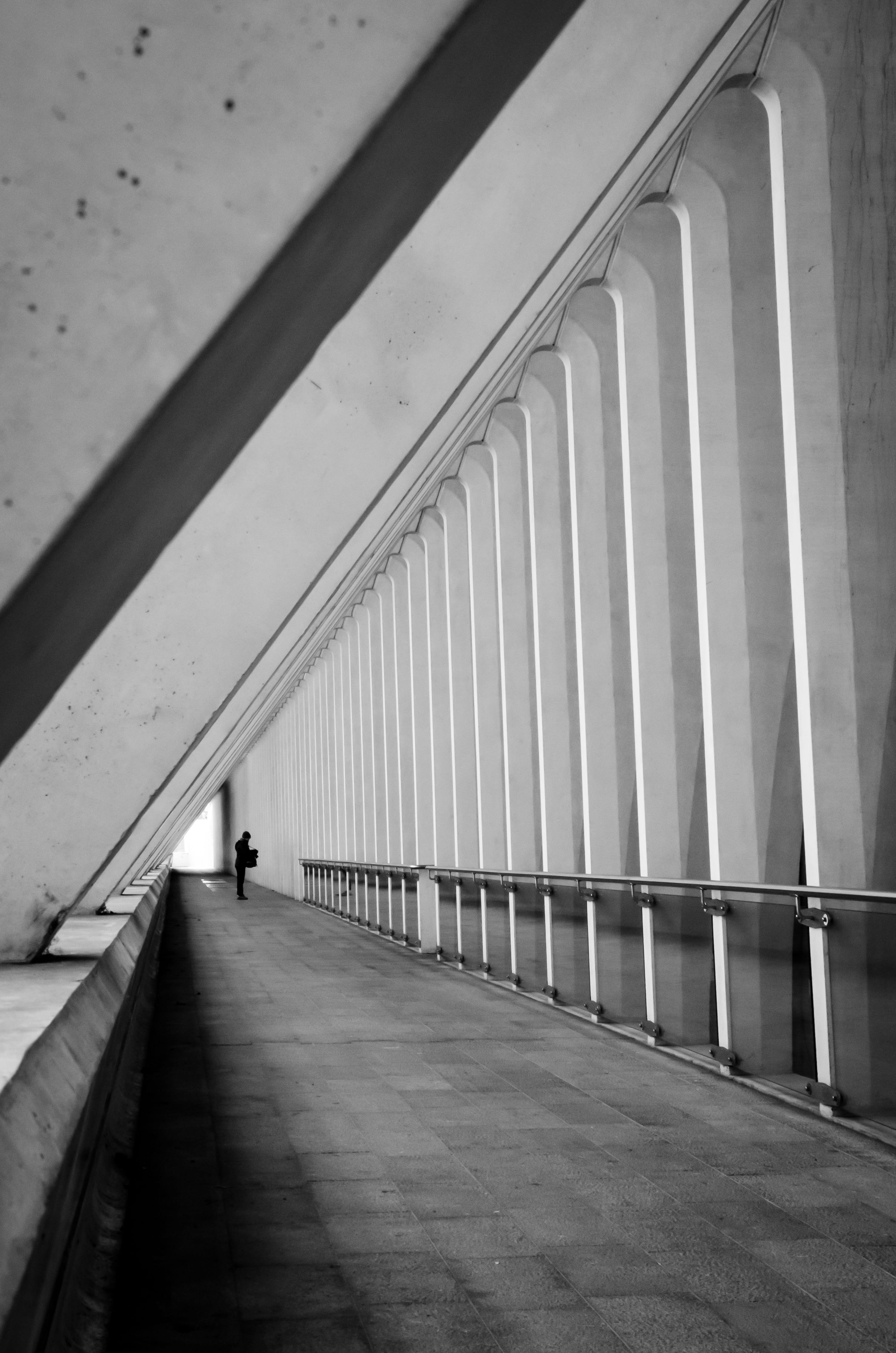calatrava, rhythm, train, bridge - man made structure, the way forward, railing, connection, departure, urban Scene, men, station, lines, railway station, Phone HD Wallpaper