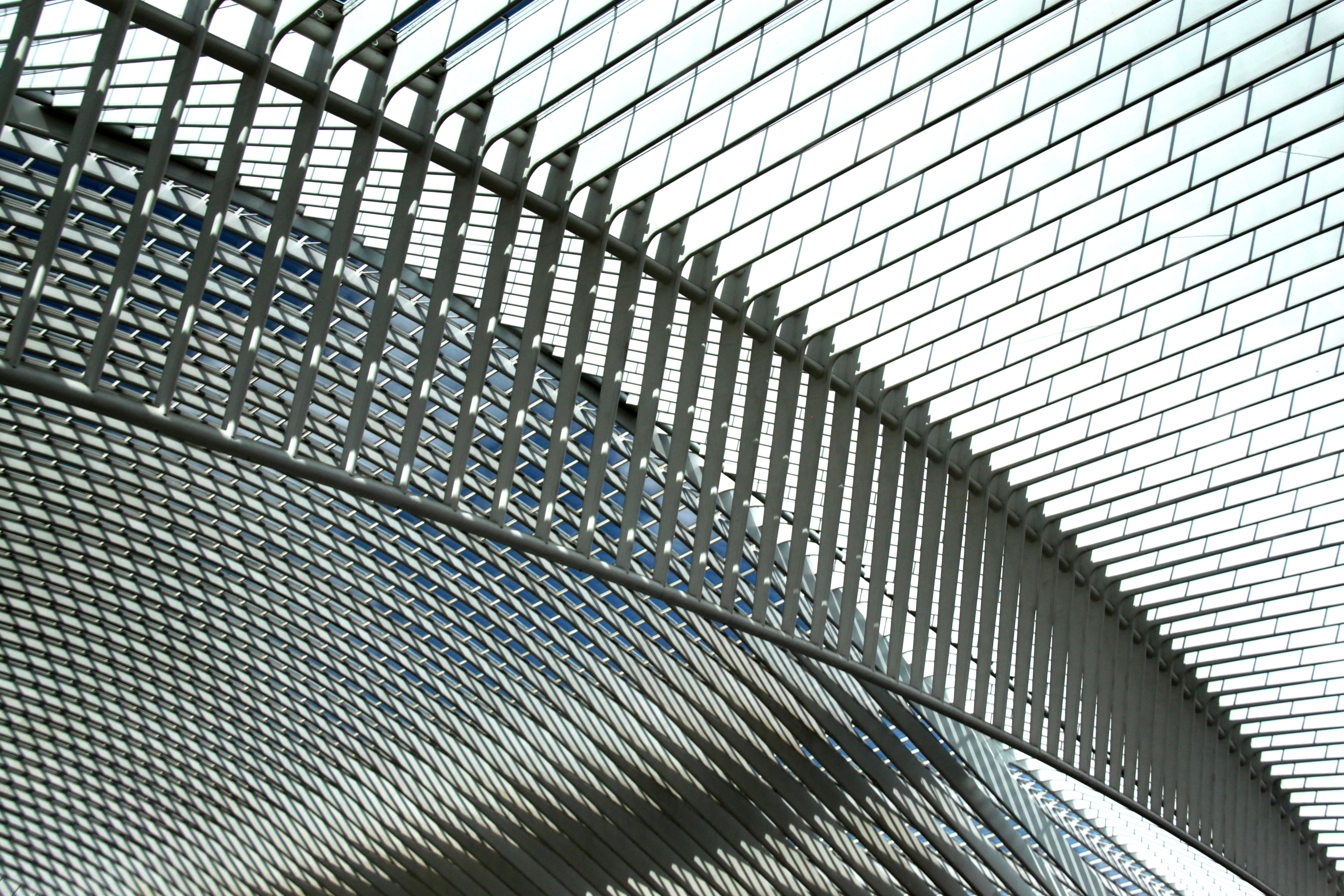 indoors, calatrava, futuristic, pattern, santiago calatrava, full frame, no people, 4K, railroad station, liège, low angle view, architectural feature, HD Wallpaper