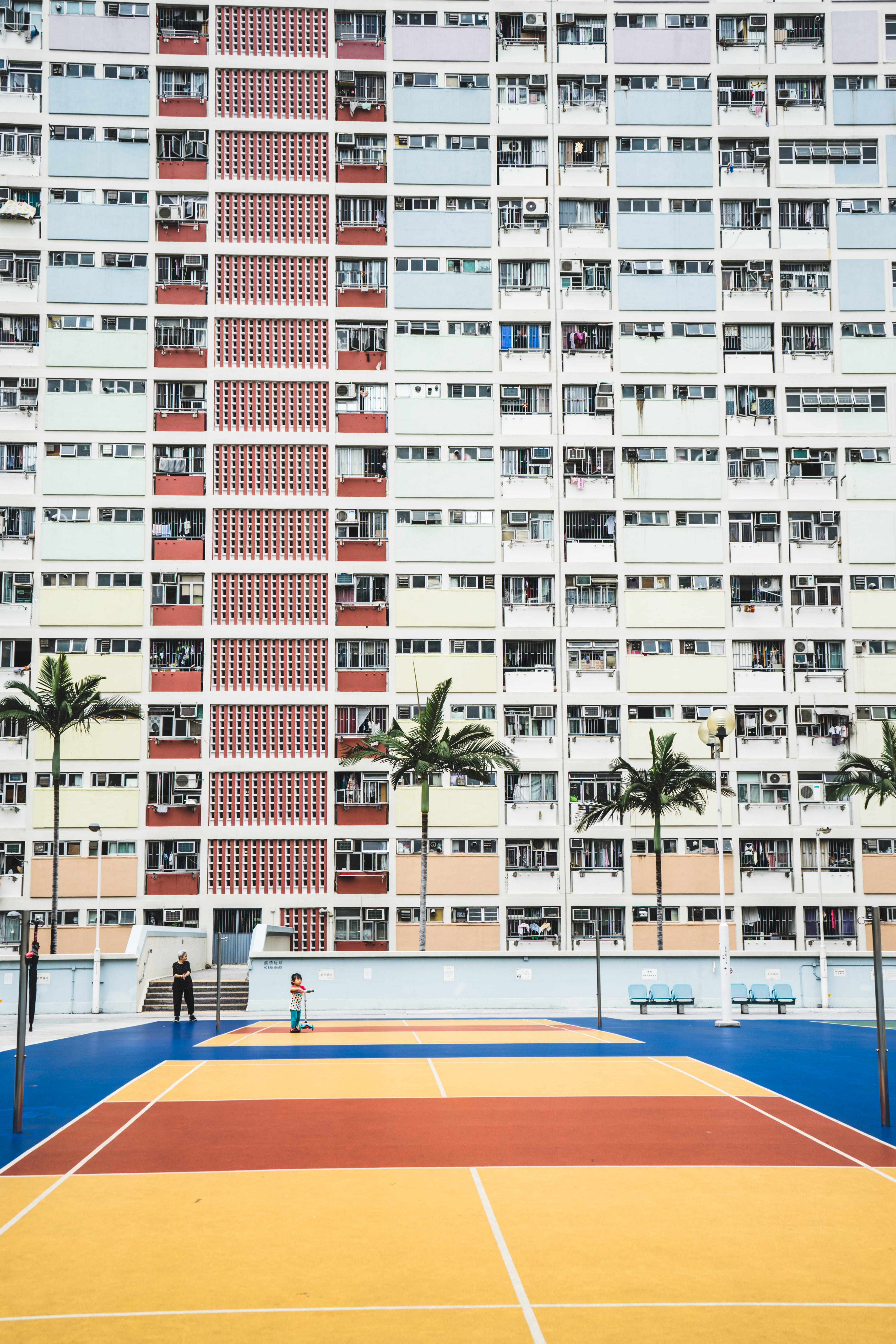 paint, building exterior, urban, plant, team sport, tree, building, house, no people, high, outdoors, white, person, wall, sports, apartment, window, town, Phone HD Wallpaper
