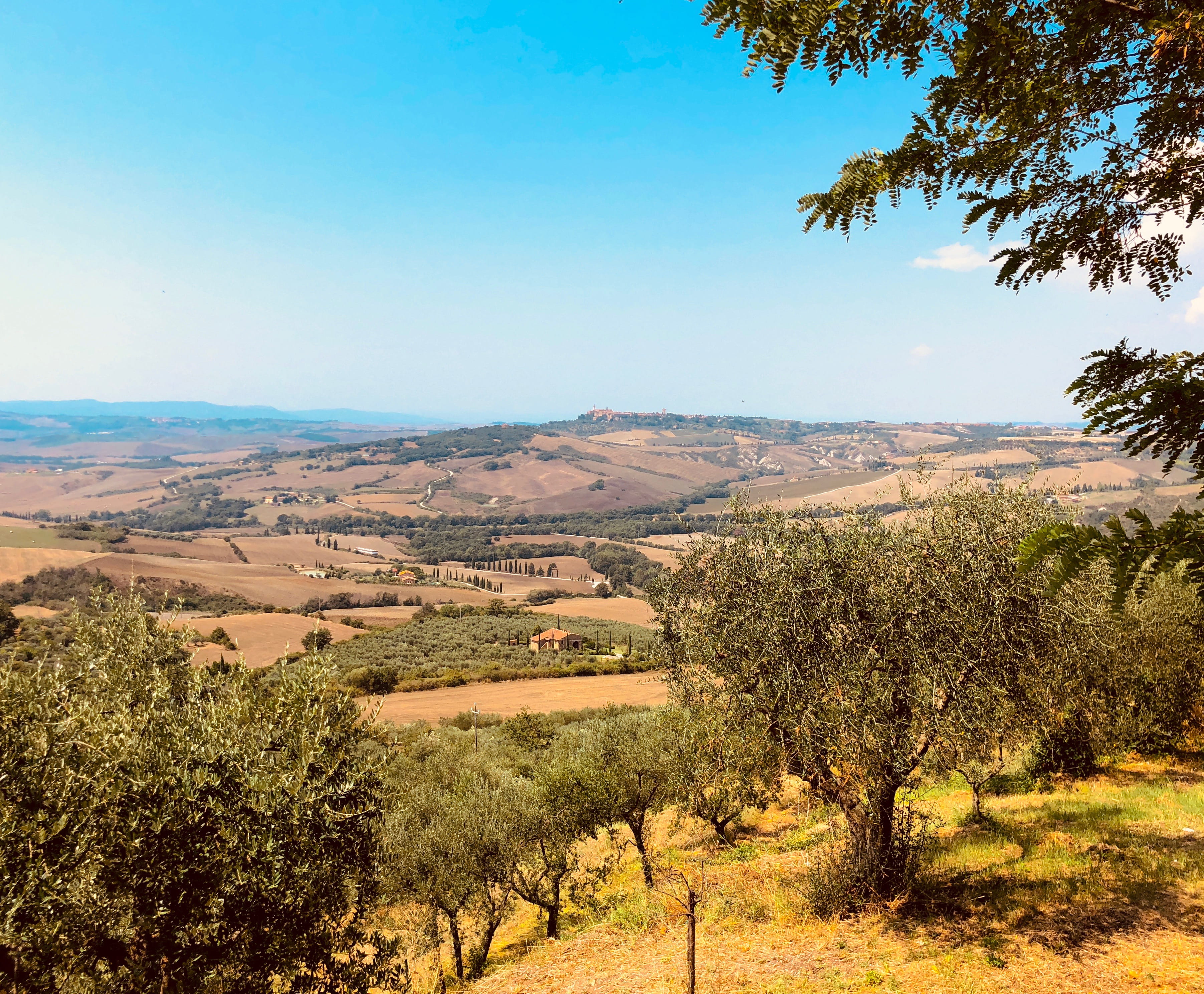 land, 2K, tranquility, outdoors, growth, wilderness, field, countryside, scenery, winemaking, italy, plateau, scenics - nature, no people, beauty in nature, HD Wallpaper