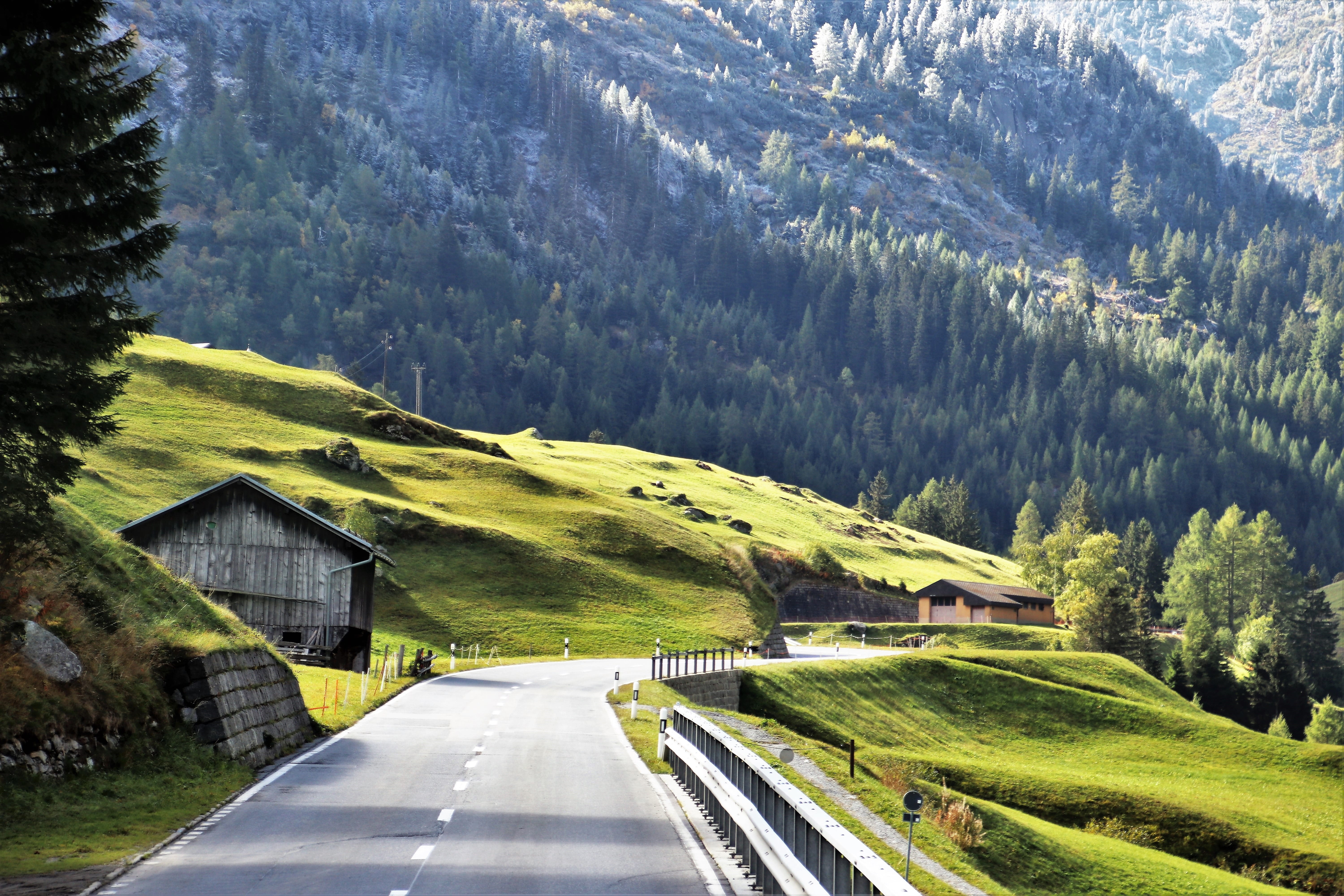 mountains, tranquility, panorama, tranquil scene, high, no people, non-urban scene, sign, autumn, nature, pine tree, transport, highway, steep, traveler, HD Wallpaper