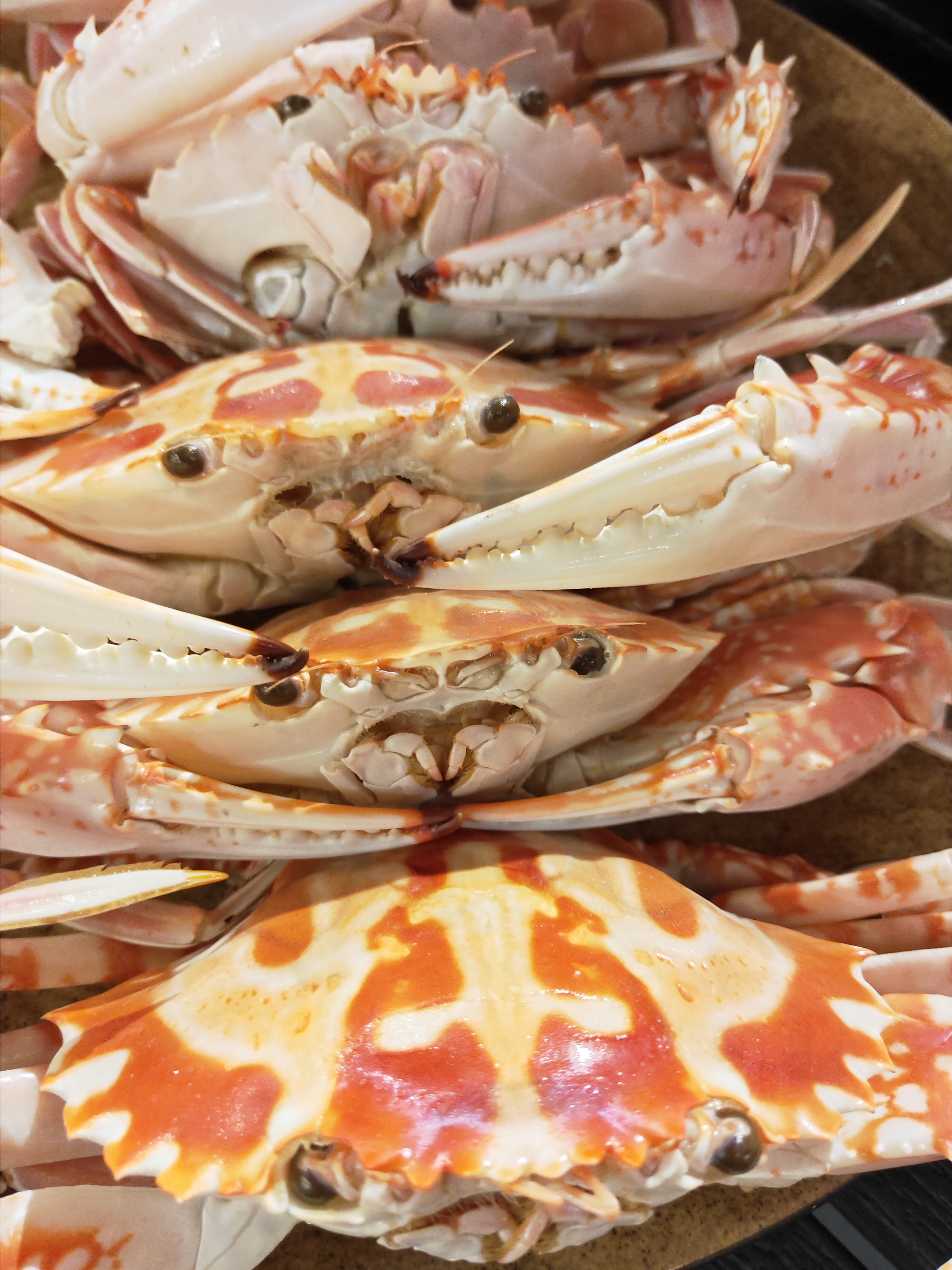 orange, nature, plate, craving, freshness, 4K, close-up, crustacean, eyes, food and drink, still life, delicious, seafood, animal, shell, ocean, cooked, Phone HD Wallpaper