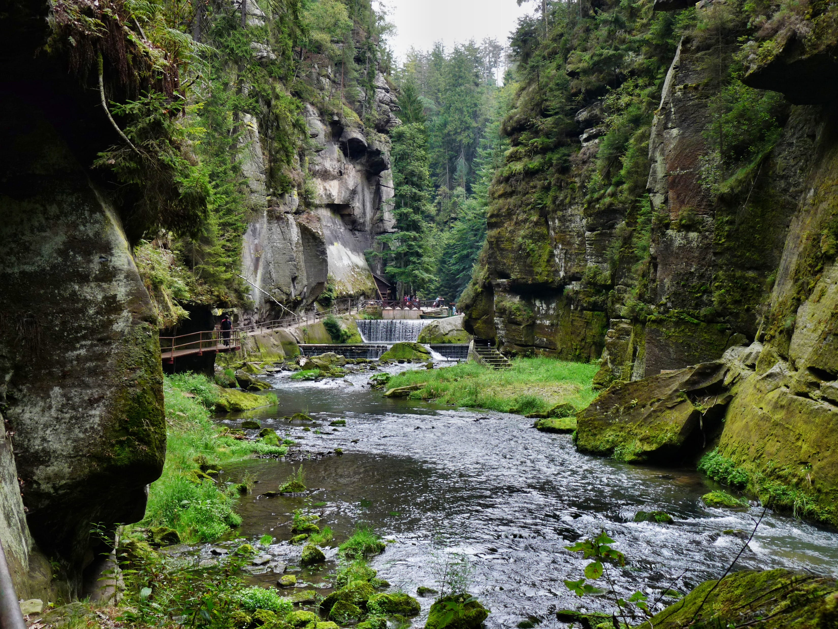 rock - object, scenics - nature, h, gorge, day, built structure, scenics, tree, gorges in hřensko, plant, switzerland, flowing water, water, Bohemian Switzerland, HD Wallpaper