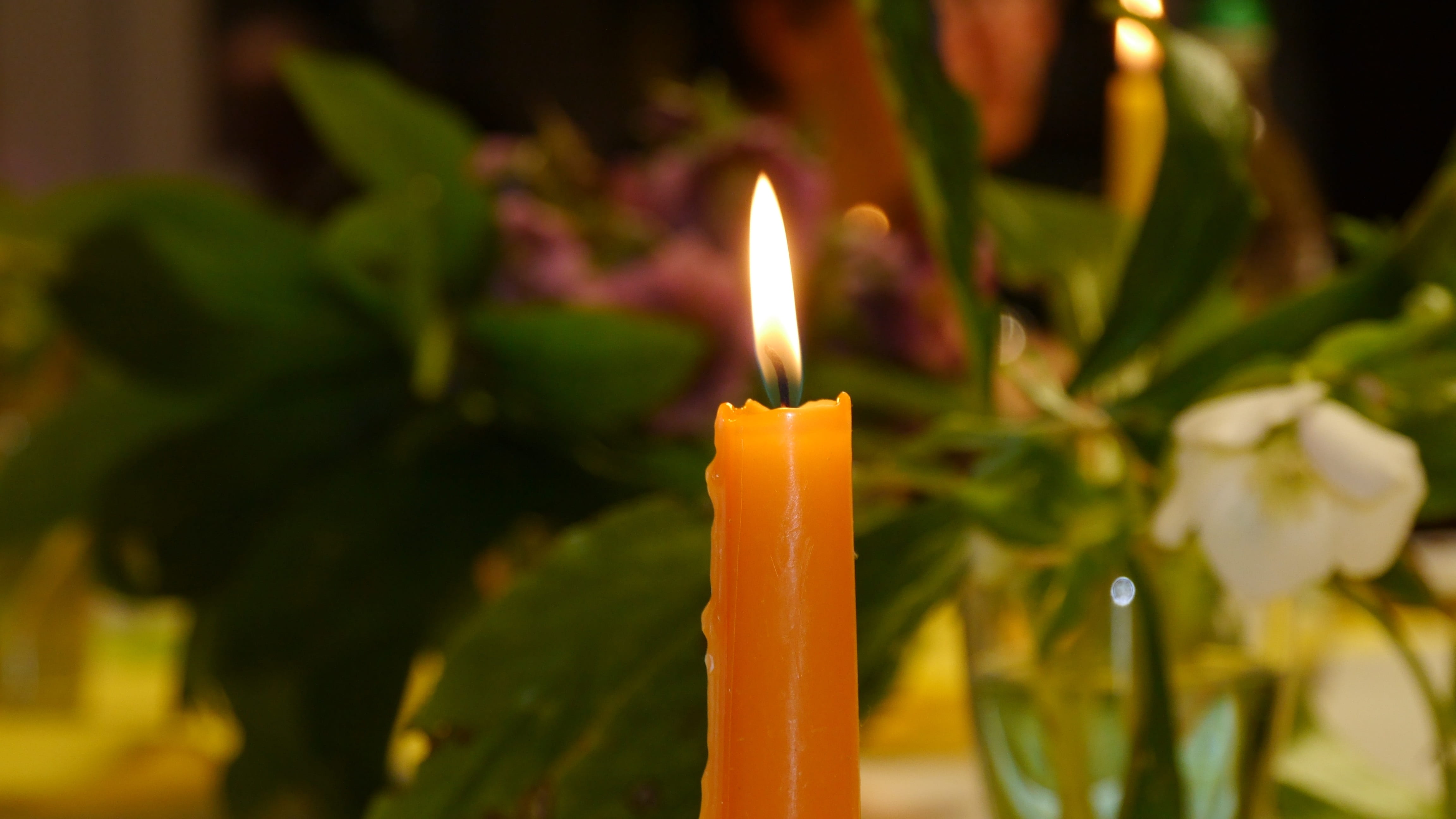 nature, plant part, roma table, candlelight, luxury, flame, no people, close-up, selective focus, food, luminosity, burning, fire - natural phenomenon, HD Wallpaper