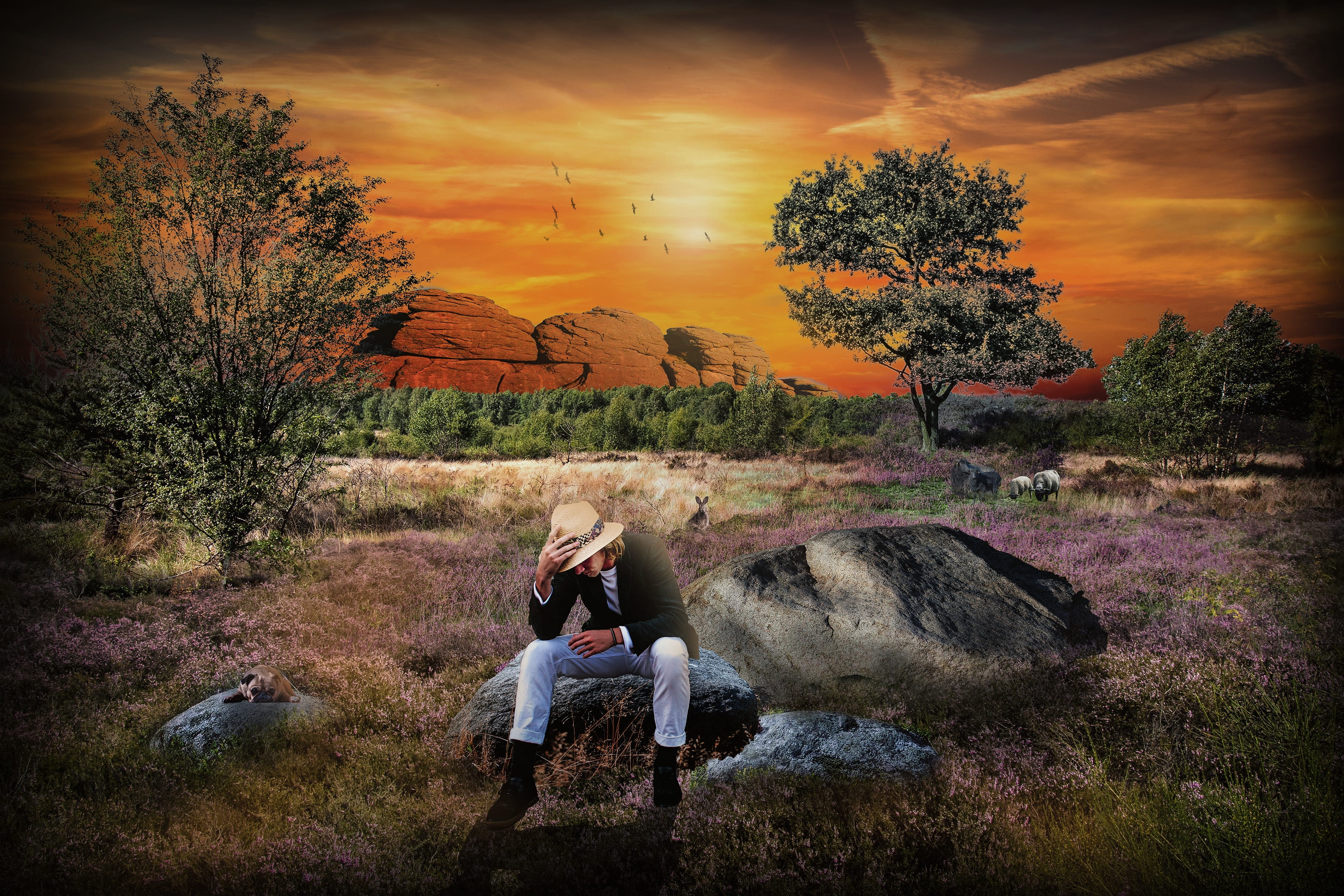 composing, human arm, idyllic, casual clothing, 2K, solid, couple - relationship, lifestyles, outdoors, land, plant, sunset, tree, roma table, cloud - sky, HD Wallpaper