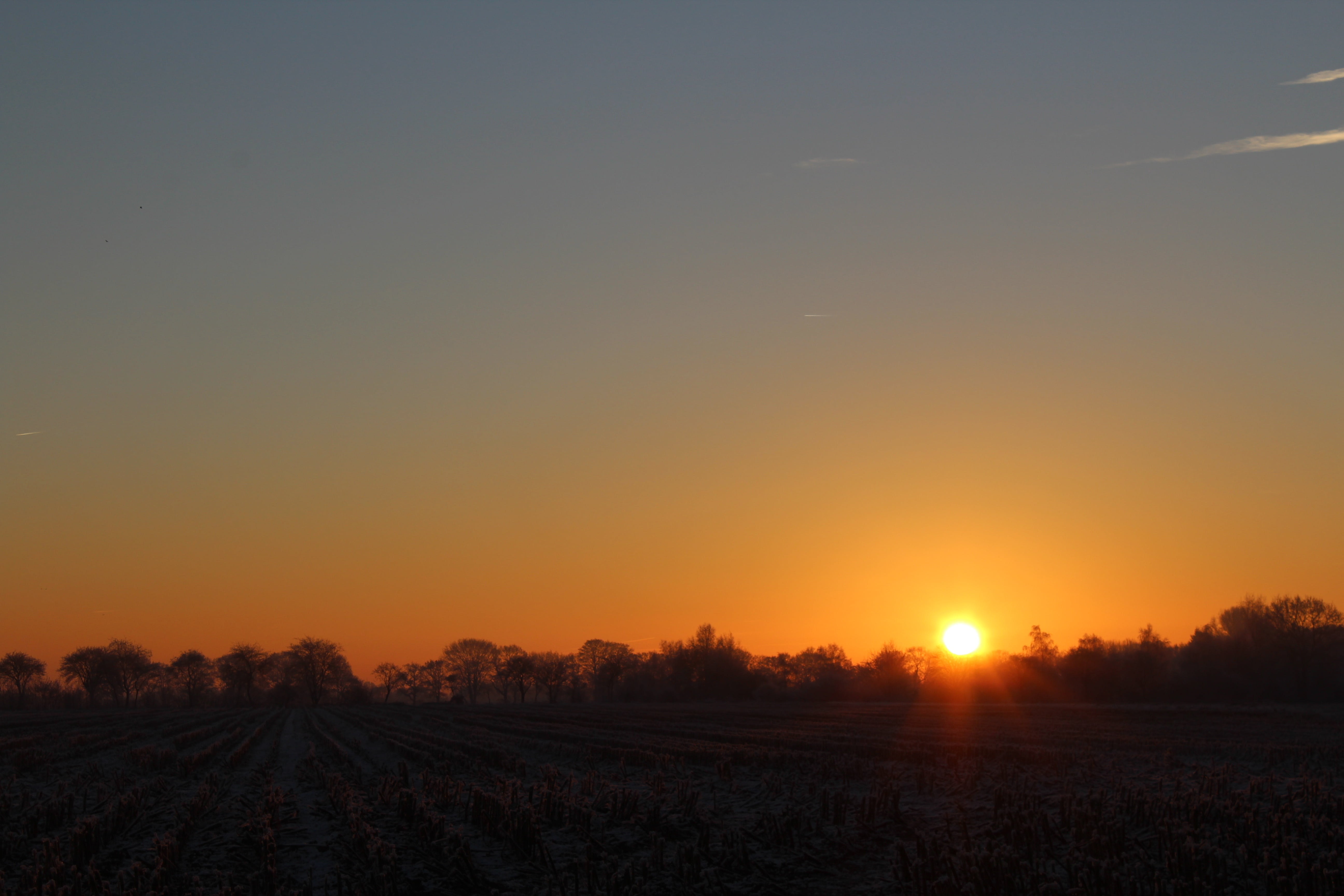 east frisia, sunlight, dusk, icy, scenics - nature, agriculture, frost, roma table, beauty in nature, nature, sky, skies, plant, trees, no people, stubble, HD Wallpaper