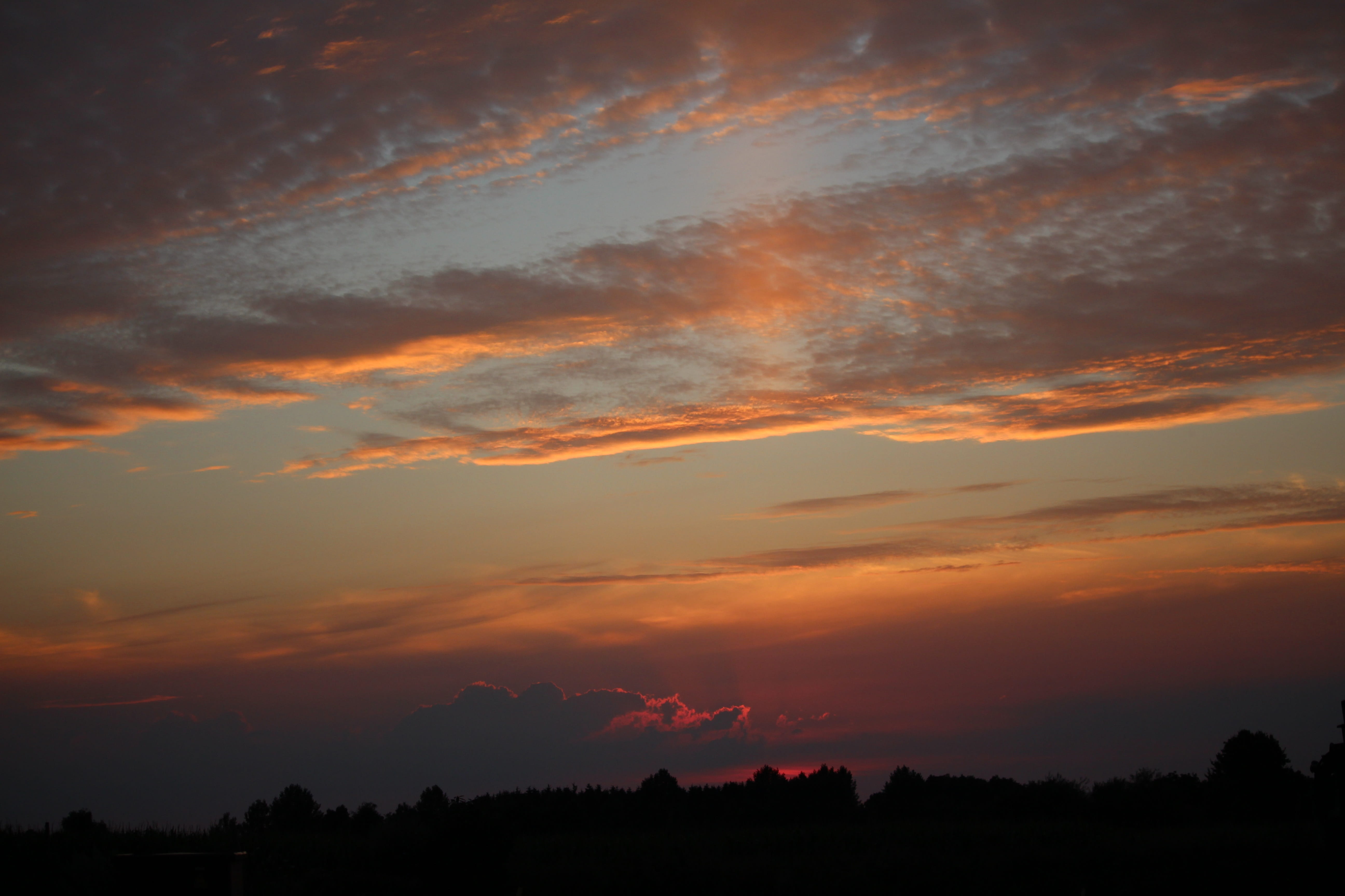 scenics - nature, dramatic sky, tree, silhouette, sunset, light, outdoors, nature, cloud - sky, beauty in nature, low angle view, environment, plant, 5K, HD Wallpaper