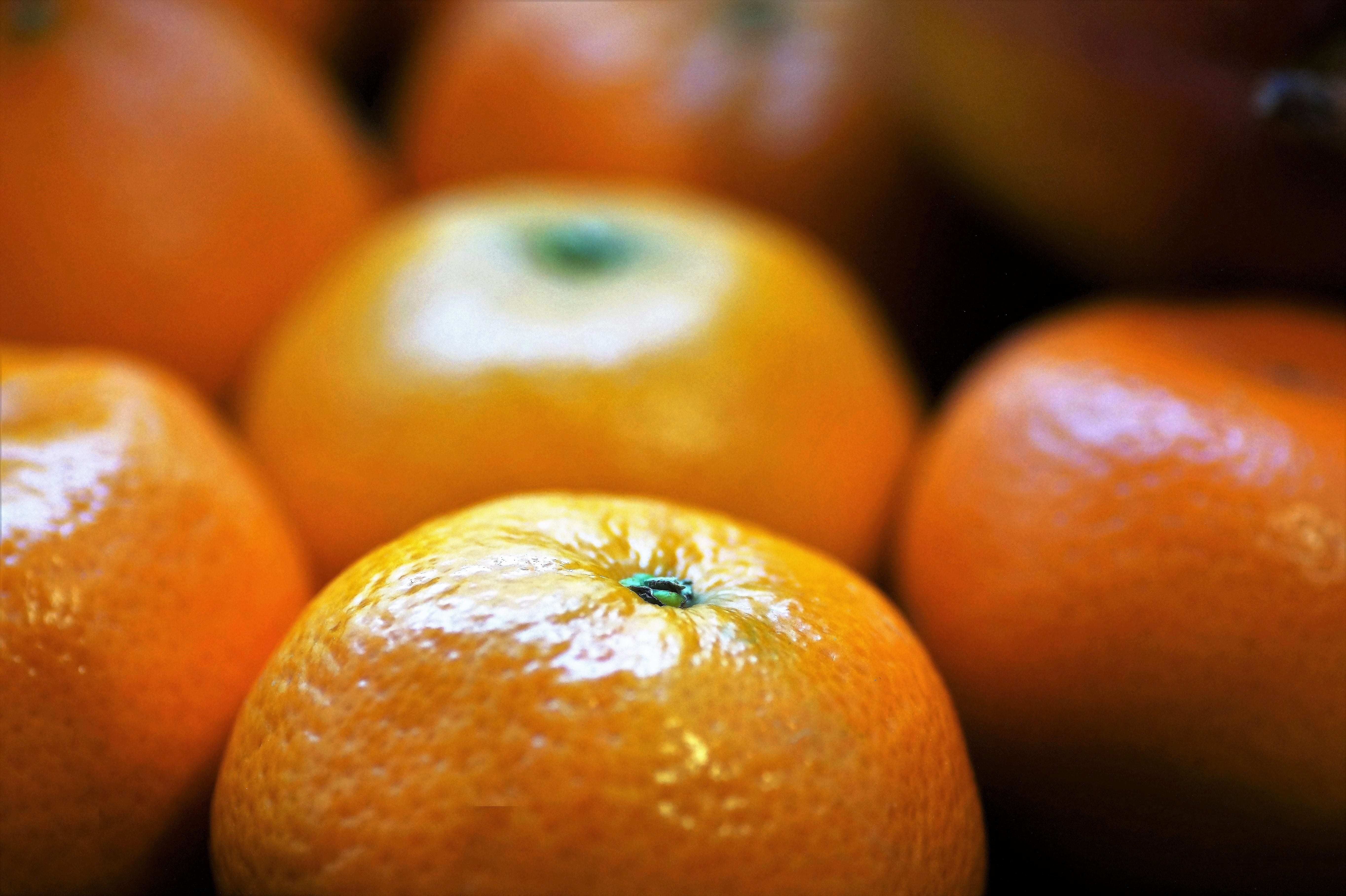 bark, Citrus, Fruits, the flesh, 5K, focus on foreground, Tangerines, food and drink, fruit, indoors, Southern, antioxidant, wellbeing, healthy eating, HD Wallpaper