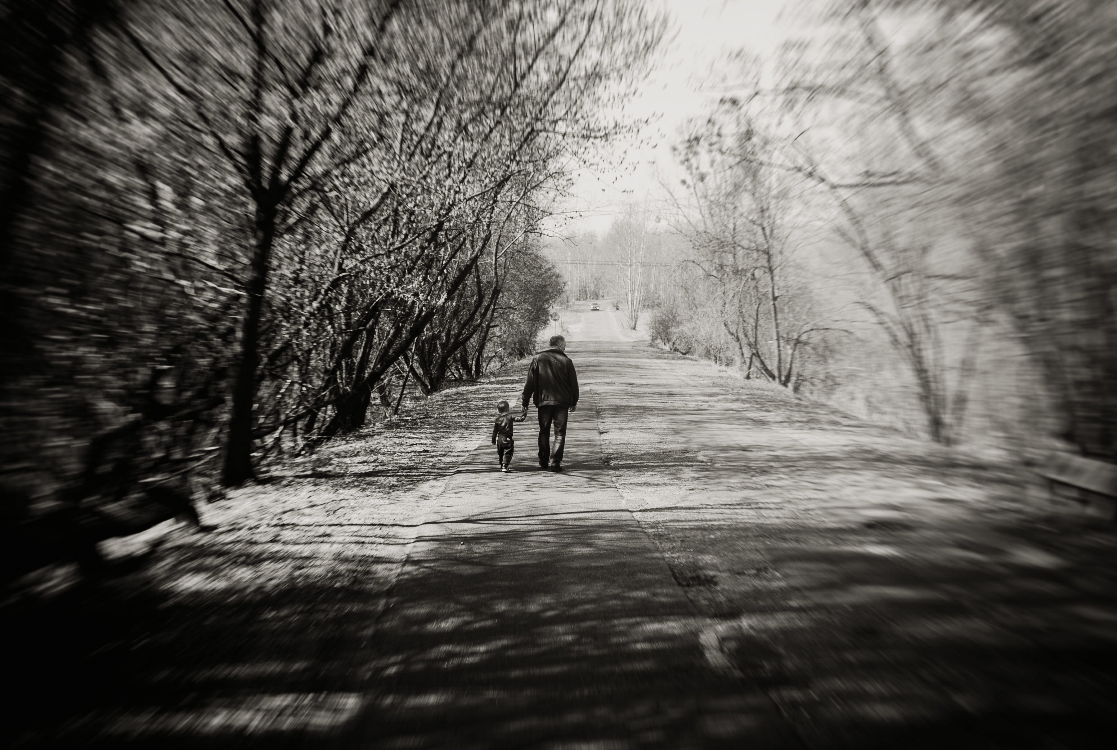 the way forward, child, leisure activity, lifestyles, diminishing perspective, forest, love, plant, friendship, direction, go, nature, black and white, HD Wallpaper