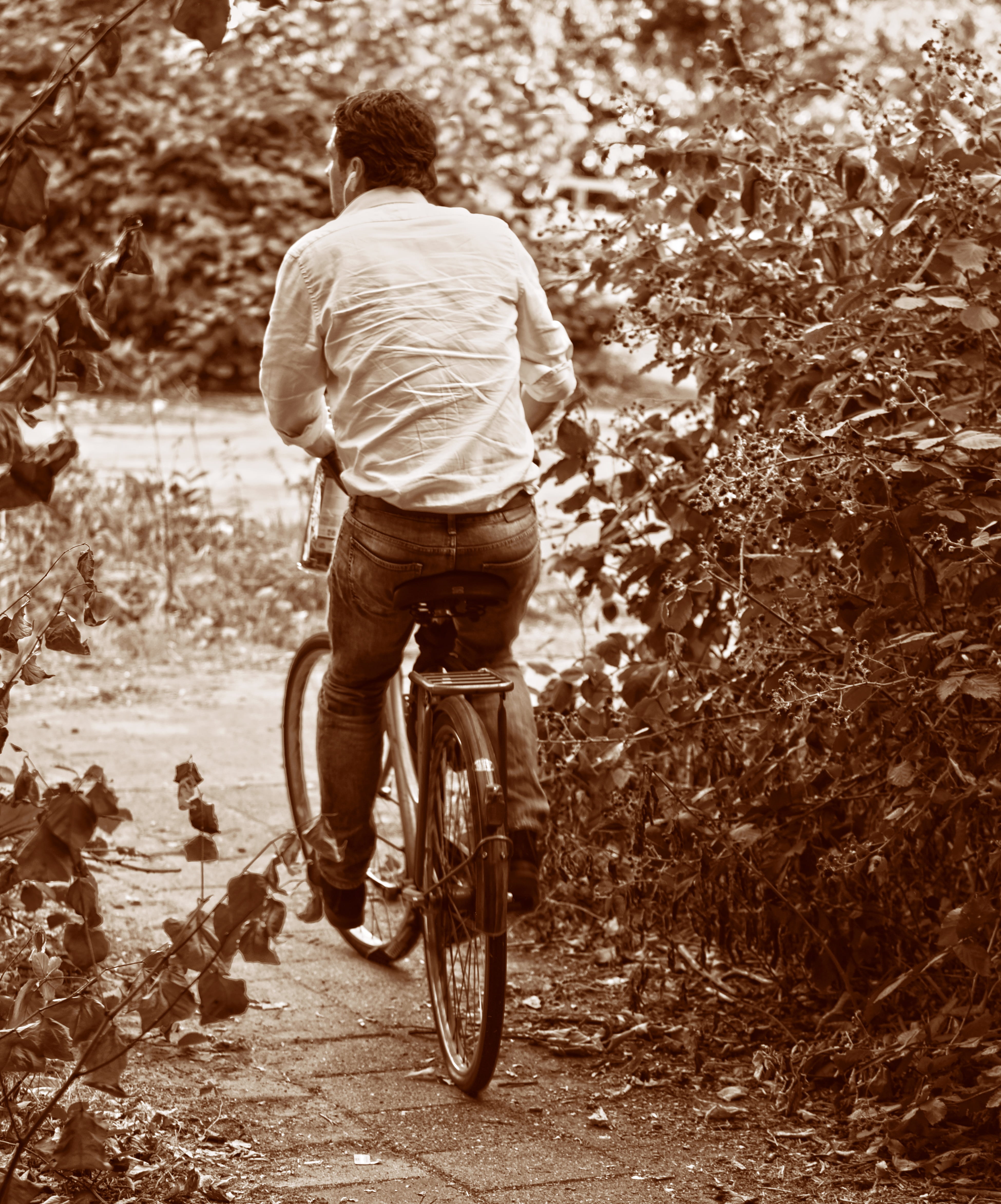 cycling, real people, plant, riding, 4K, destination, lifestyles, casual clothing, outdoors, mode of transportation, person, transport, bike ride, man, Phone HD Wallpaper