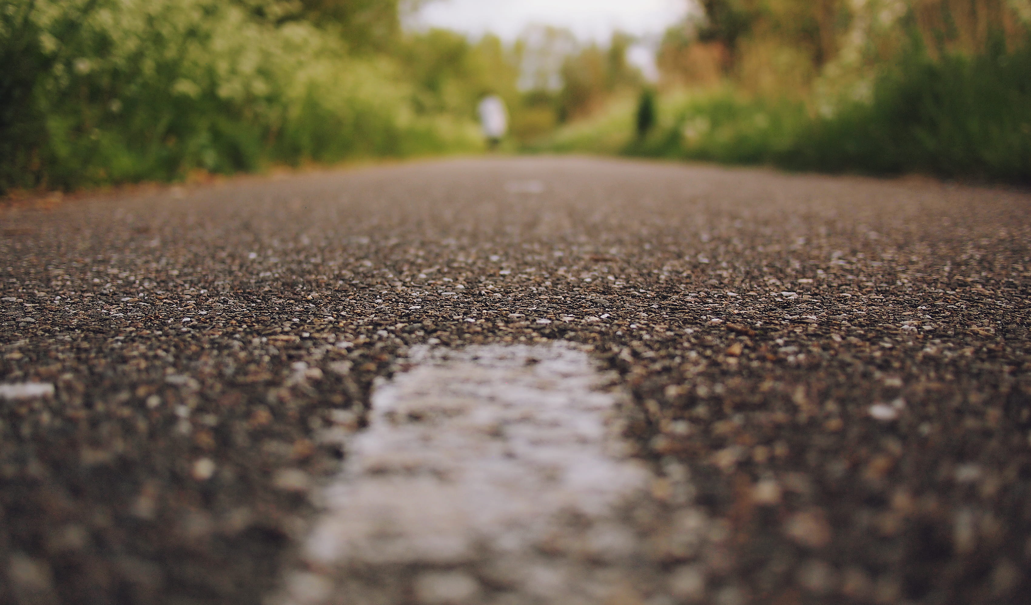 transportation, park, street, plant, day, walk, almere, the way forward, direction, city, asphalt, tree, textured, go, sign, netherlands, close-up, no people, HD Wallpaper