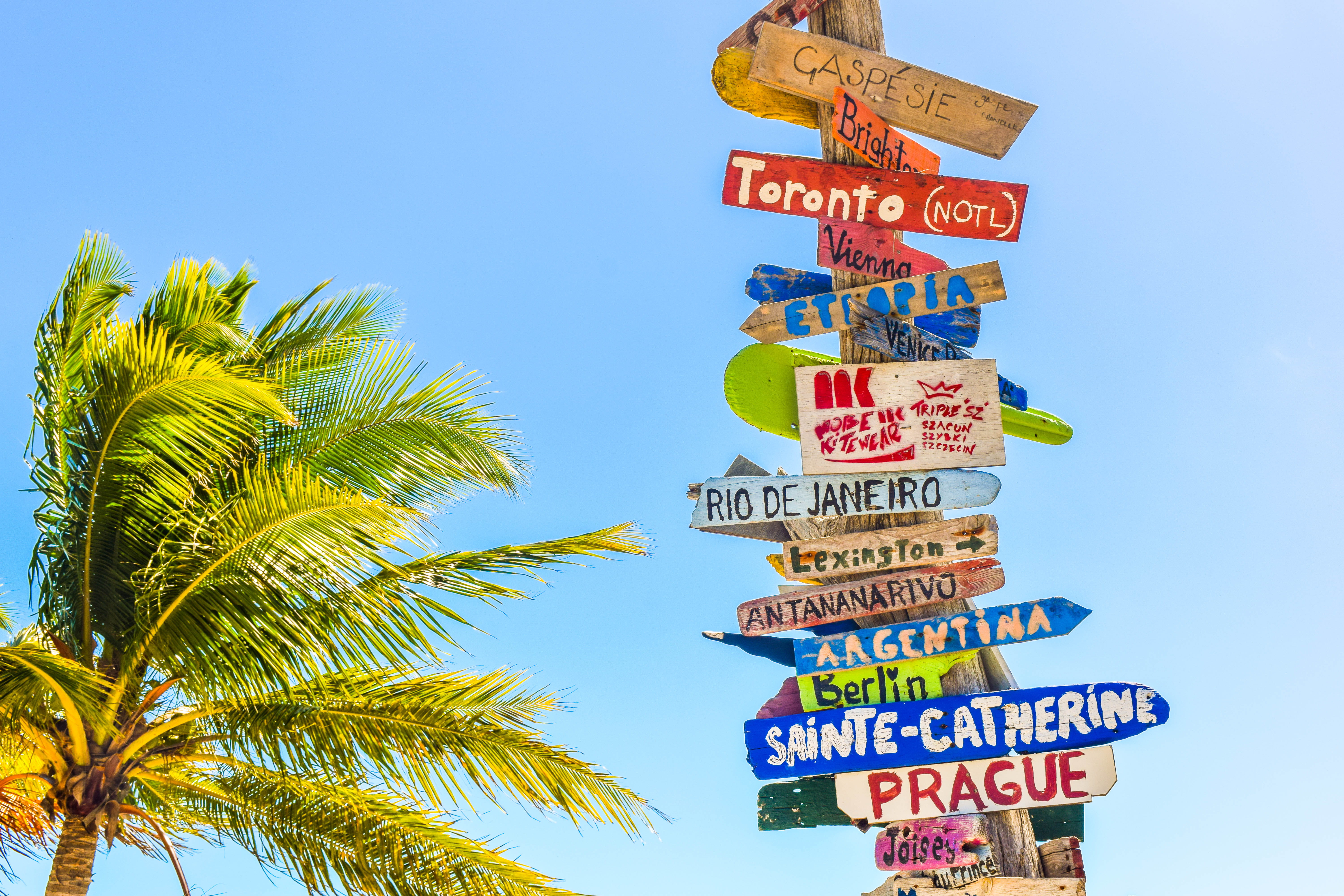 palm Tree, communication, arrow symbol, vacations, no people, western script, tropic, post, symbol, Way To Go, tropical climate, travel Destinations, signage, HD Wallpaper