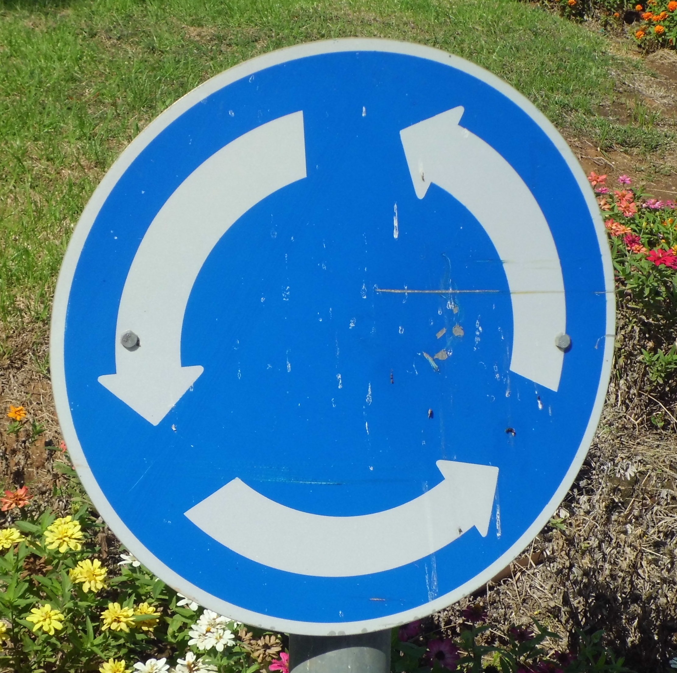 ring, shape, geometric shape, close-up, communication, blue, sign, no people, sense required, road, white color, traffic, day, warning sign, outdoors, traffic signal, HD Wallpaper