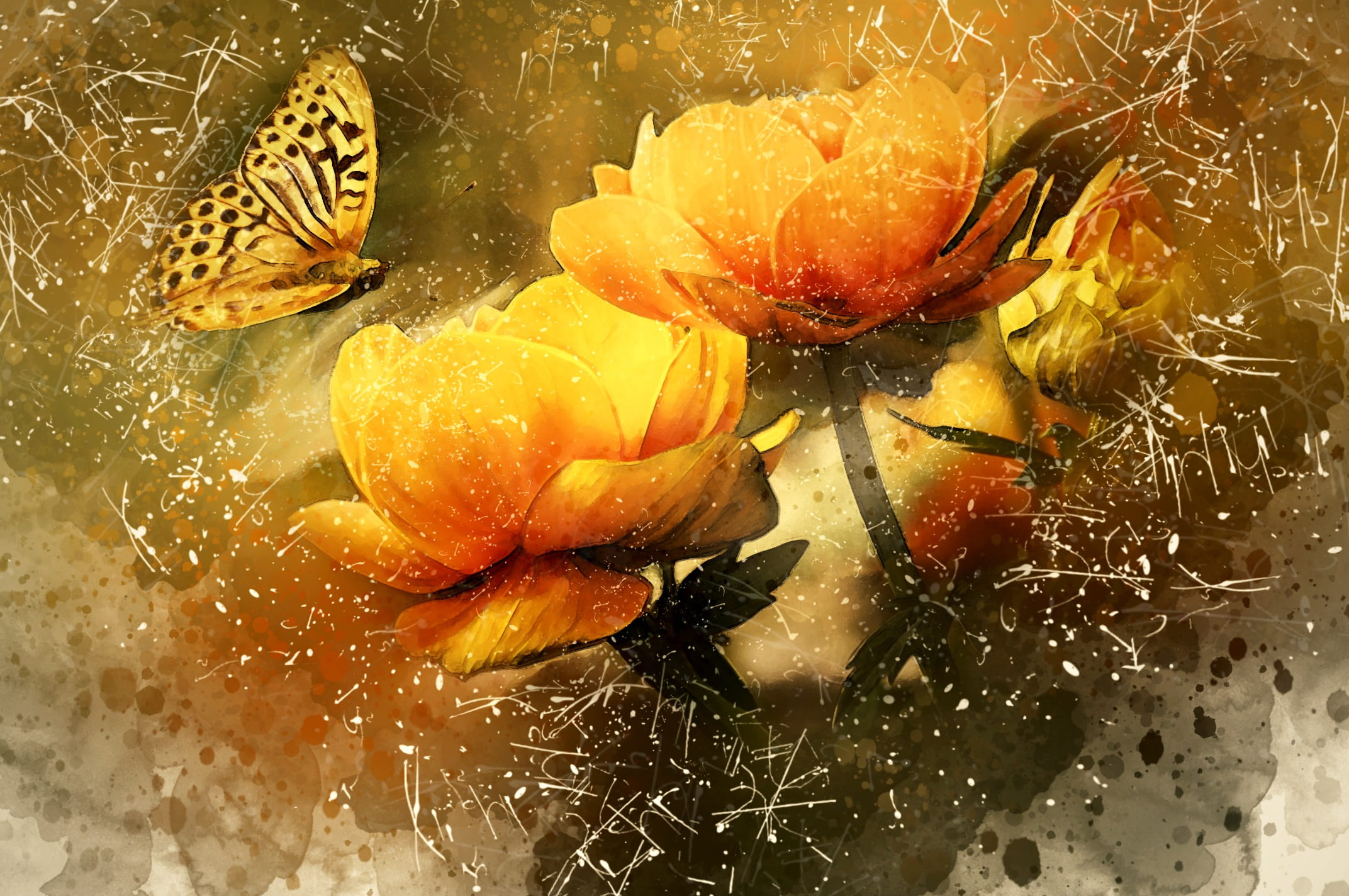 indoors, high angle view, wet, digital enhancement, blossom, nature, petaled, drop, vibrant, healthy eating, flowers, yellow, garden, orange, plant, studio shot, HD Wallpaper