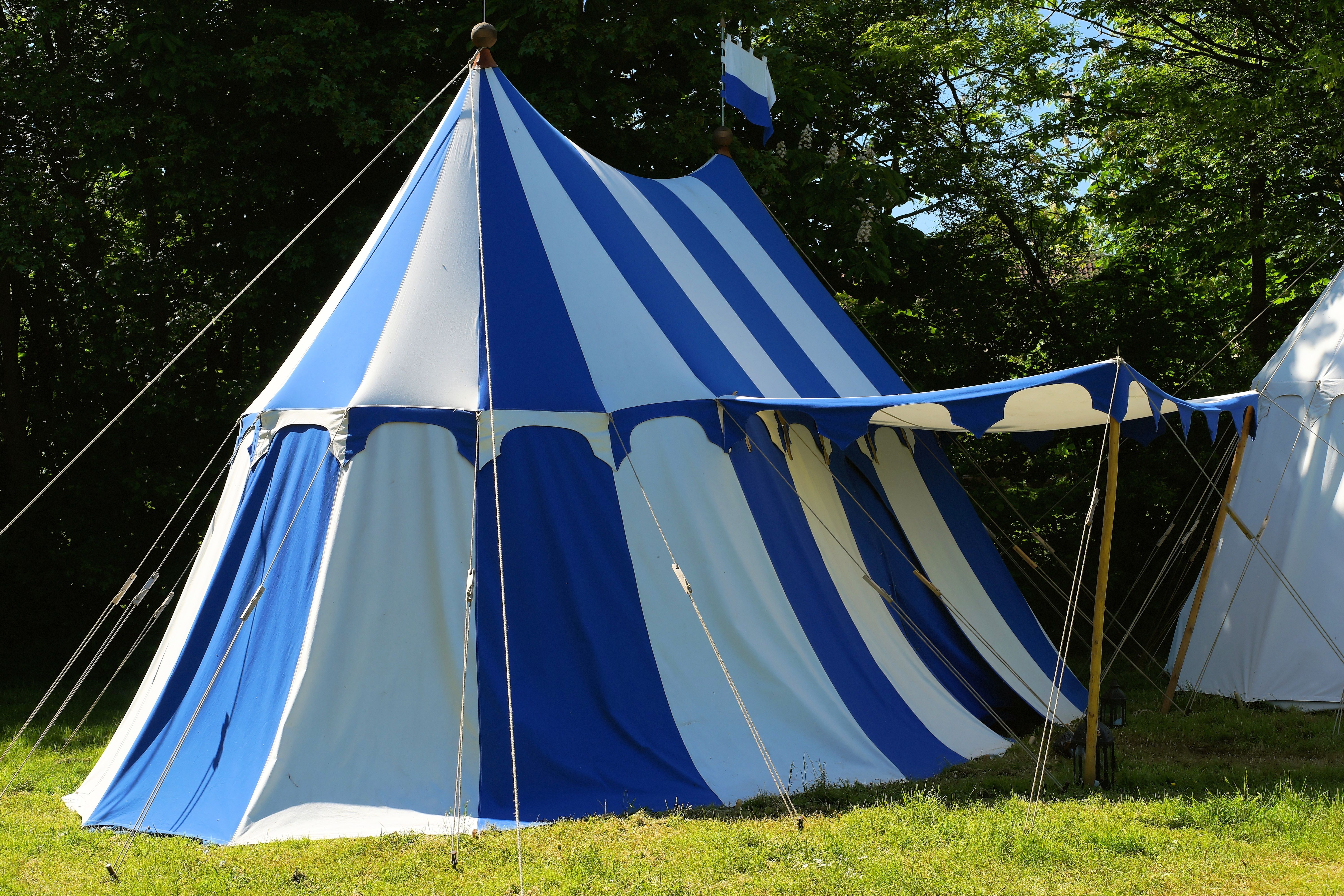 5K, place to sleep, camping, blue white, day, tree, elegant, hanging, field, meadow, ritterzelt, outdoors, plant, blue, wind vane, grass, growth, entertainment tent, HD Wallpaper