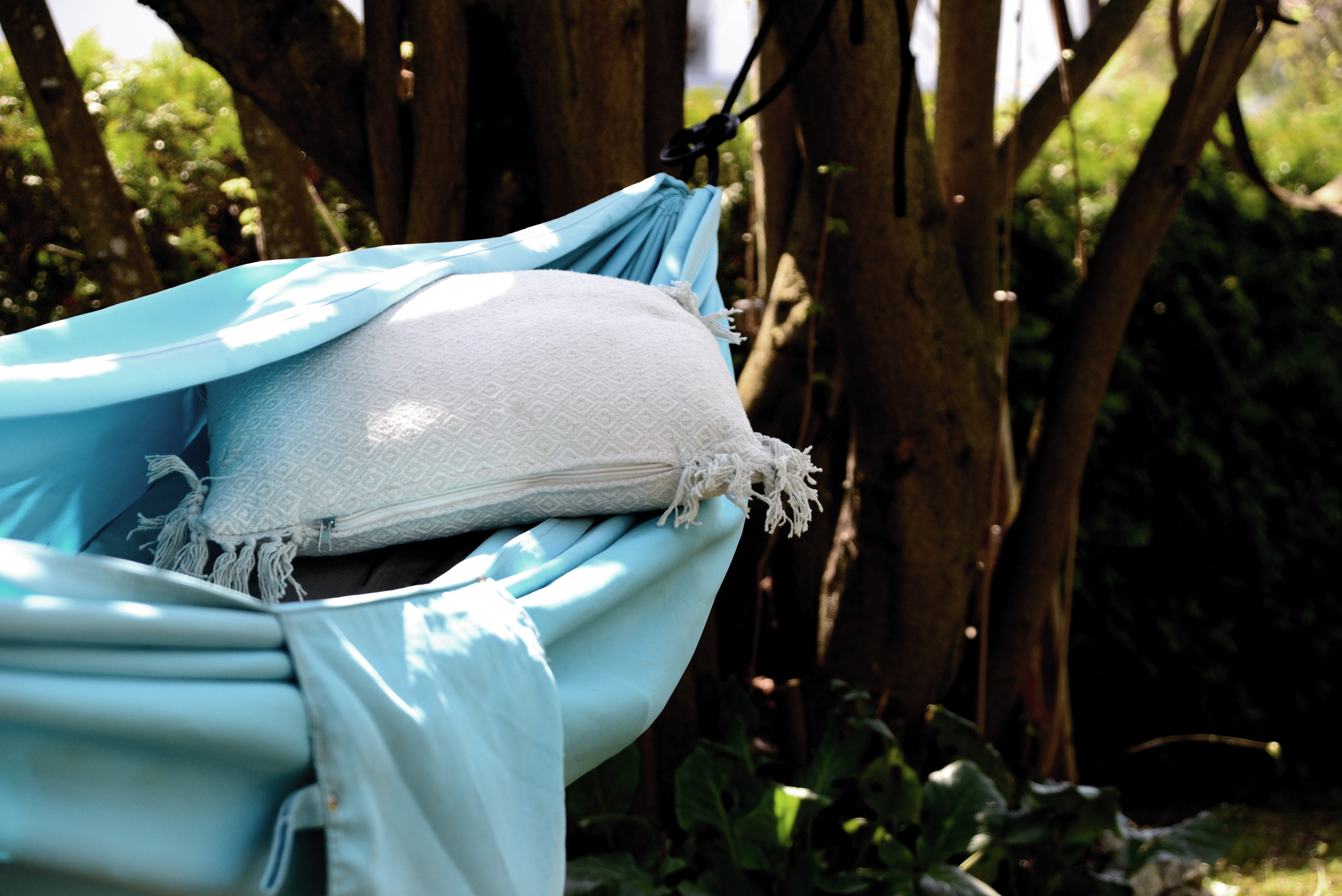 pillow, hammock, garden, animal, resting place, day, outdoors, plant, tree trunk, front or back yard, tree, garden oasis, protection, land, focus on foreground, HD Wallpaper