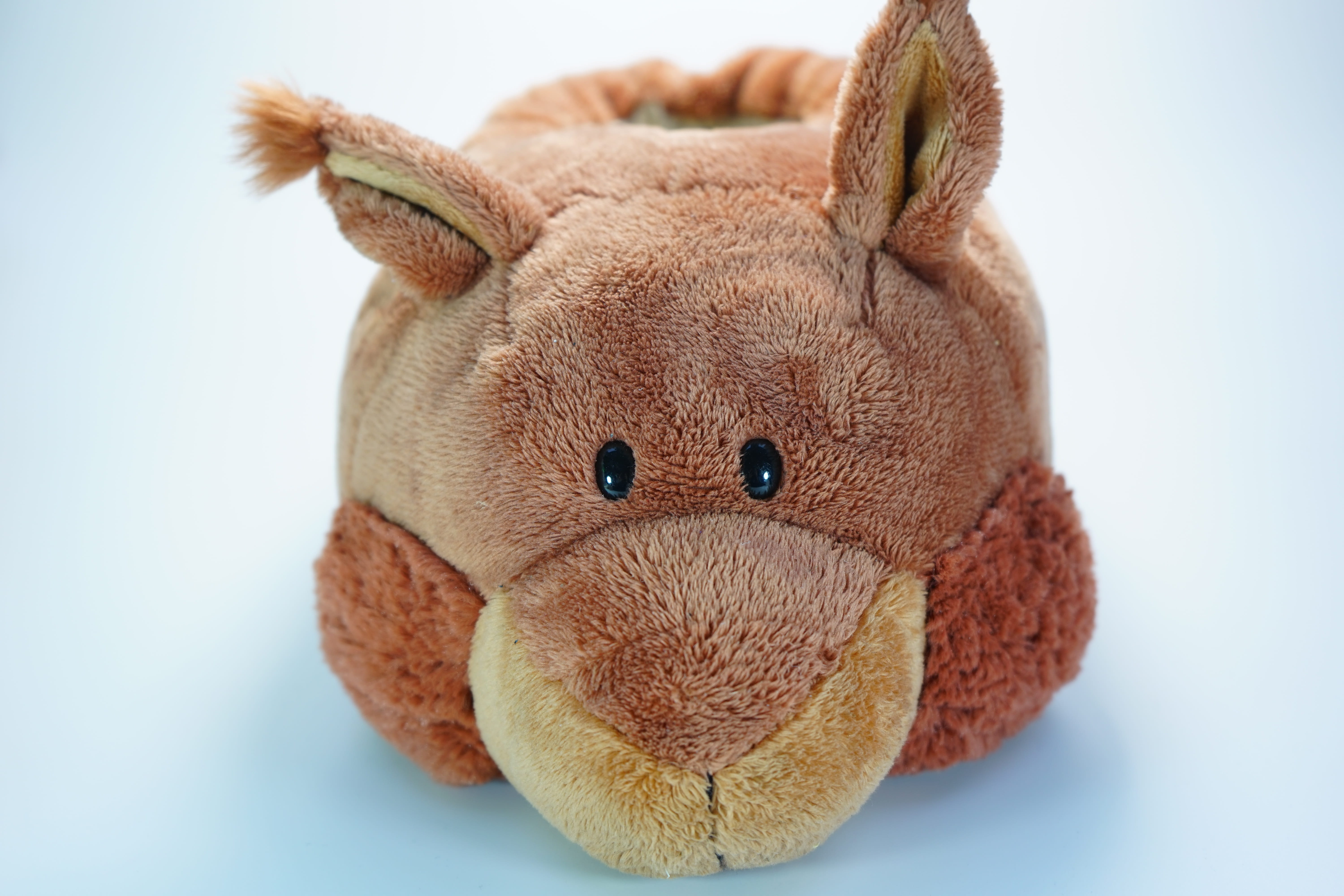 no People, childhood, mammal, one animal, toy, Slippers, blue background, 5K, cute, close-up, cut out, studio Shot, animal, easily, bear, indoors, art and craft, HD Wallpaper