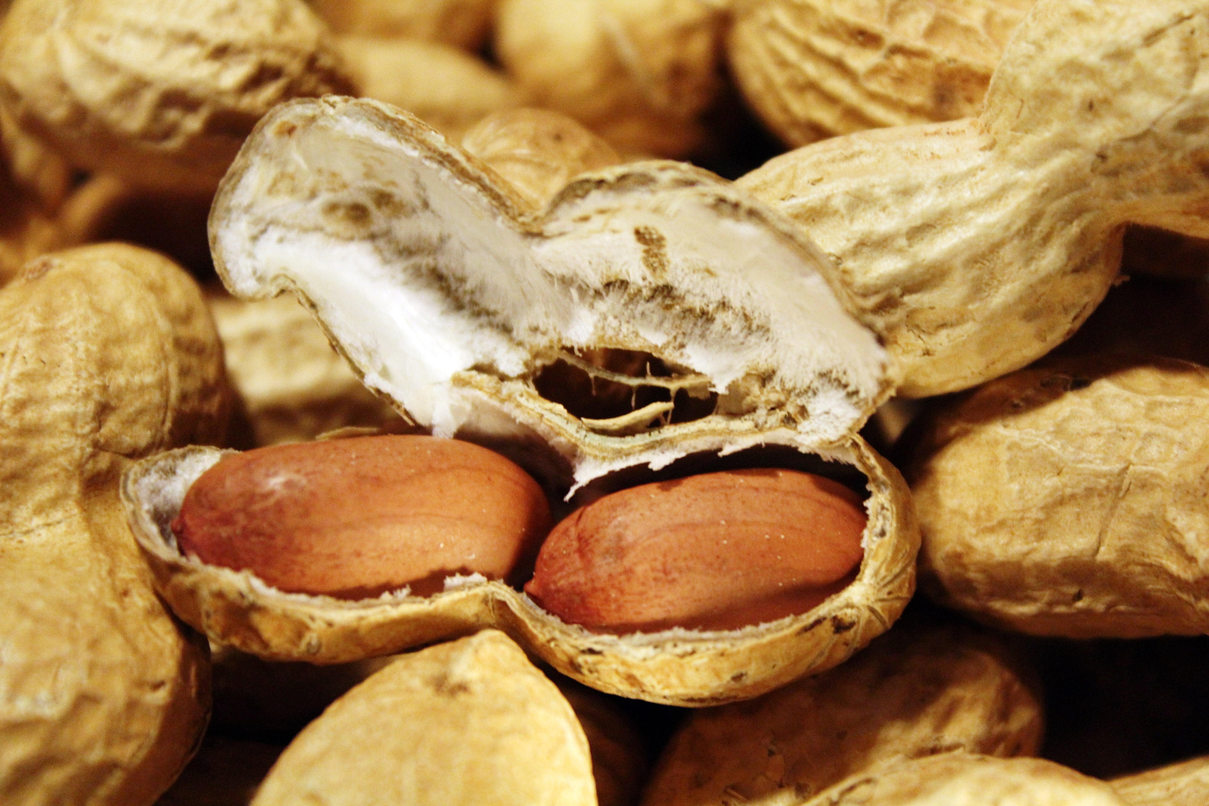 peanuts, decoration, indoors, group of objects, breaking up, shell, nutritious, close, backgrounds, christmas, brown, tasty, freshness, full frame, snack, HD Wallpaper