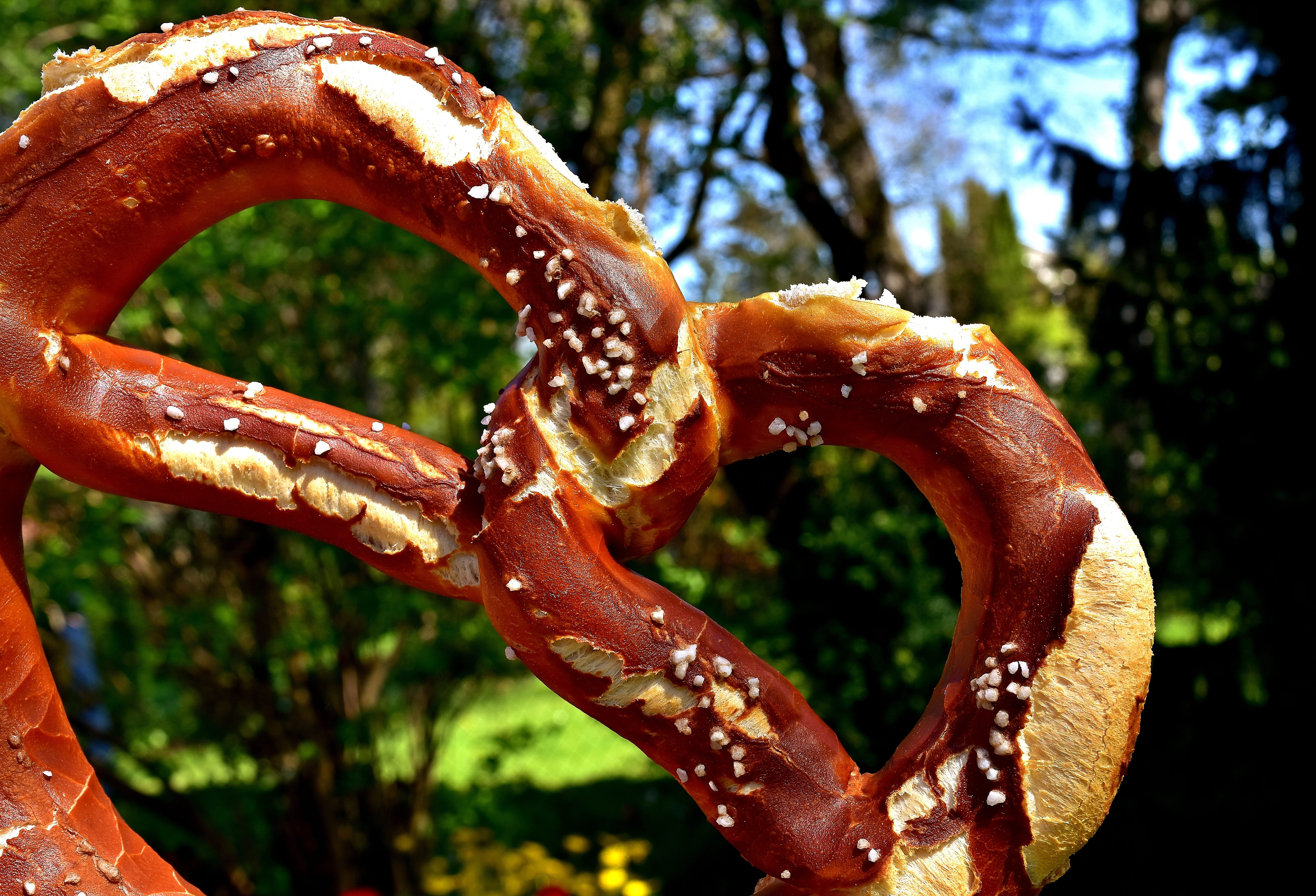 food, outdoors, Salt, Pretzel, salty, Delicious, knabberzeug, freshness, bread, crispy, wet, sunlight, Eat, focus on foreground, detail, salted, brown, HD Wallpaper