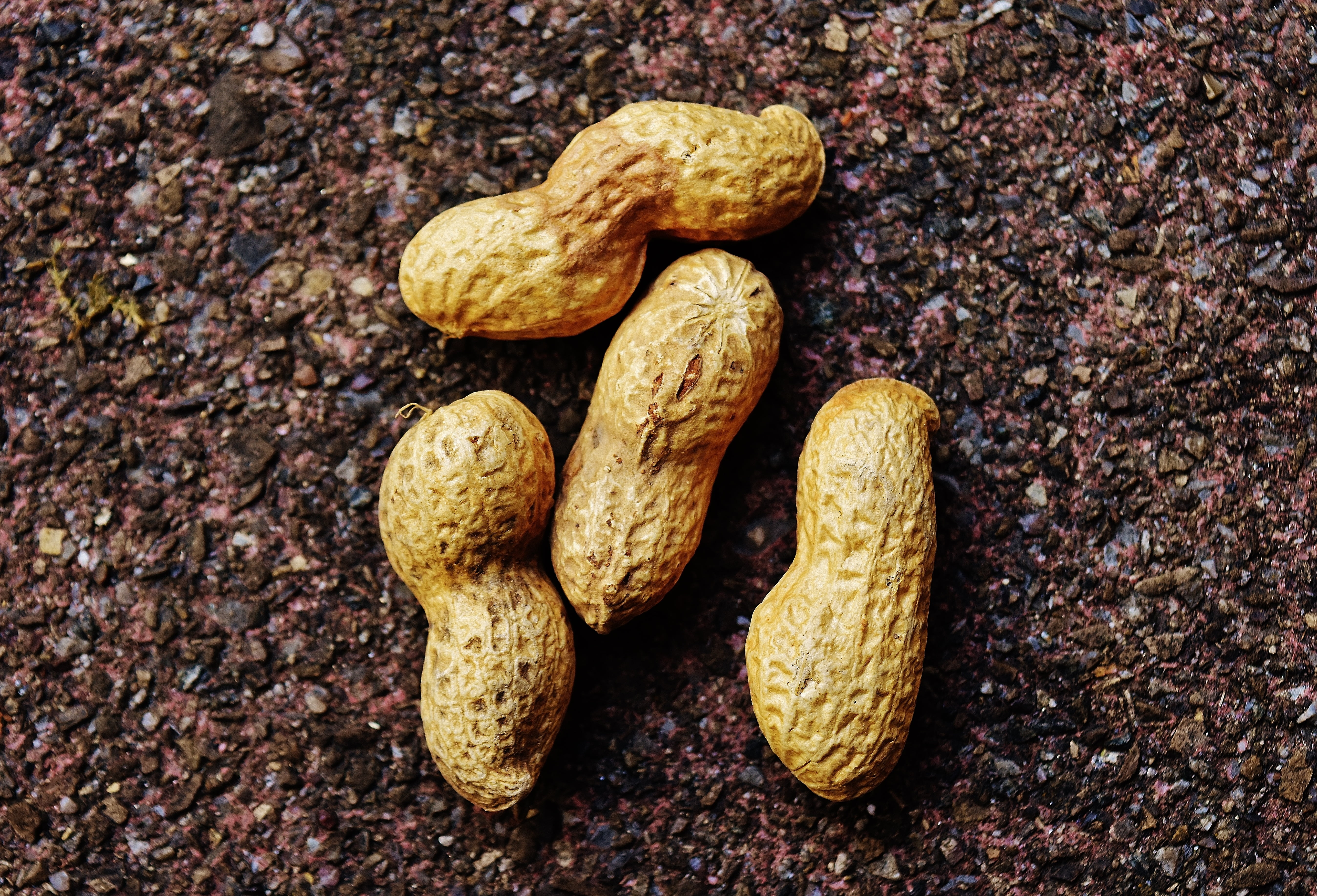 food and drink, wellbeing, nut, snack, healthy eating, food, peanuts, 5K, close-up, still life, textured, nutrition, indoors, directly above, walnut, nuts, HD Wallpaper