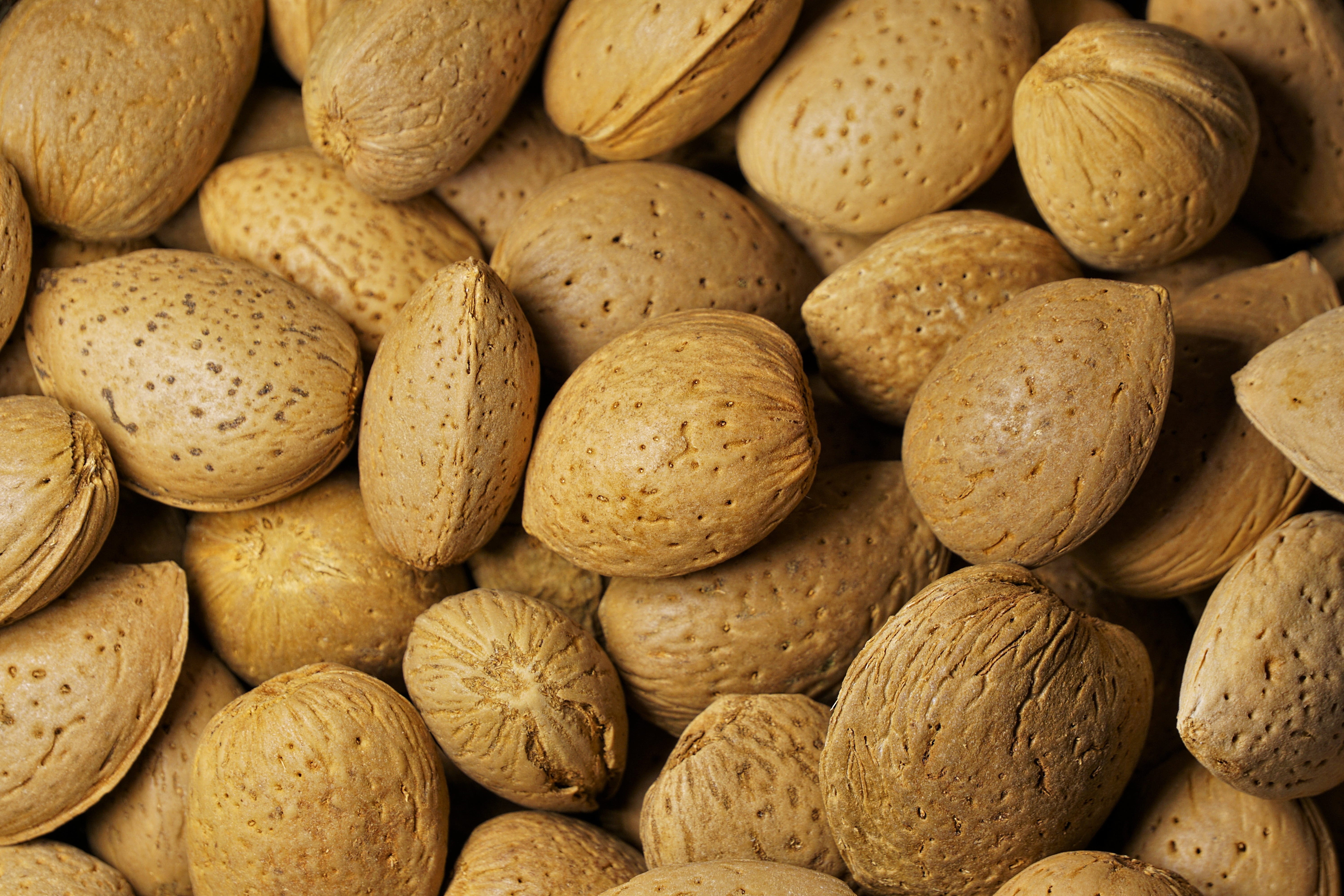 tasty, backgrounds, food, shell, large group of objects, healthy eating, food and drink, close-up, nibble, background, vitamins, snack, almond bowl, group of objects, HD Wallpaper