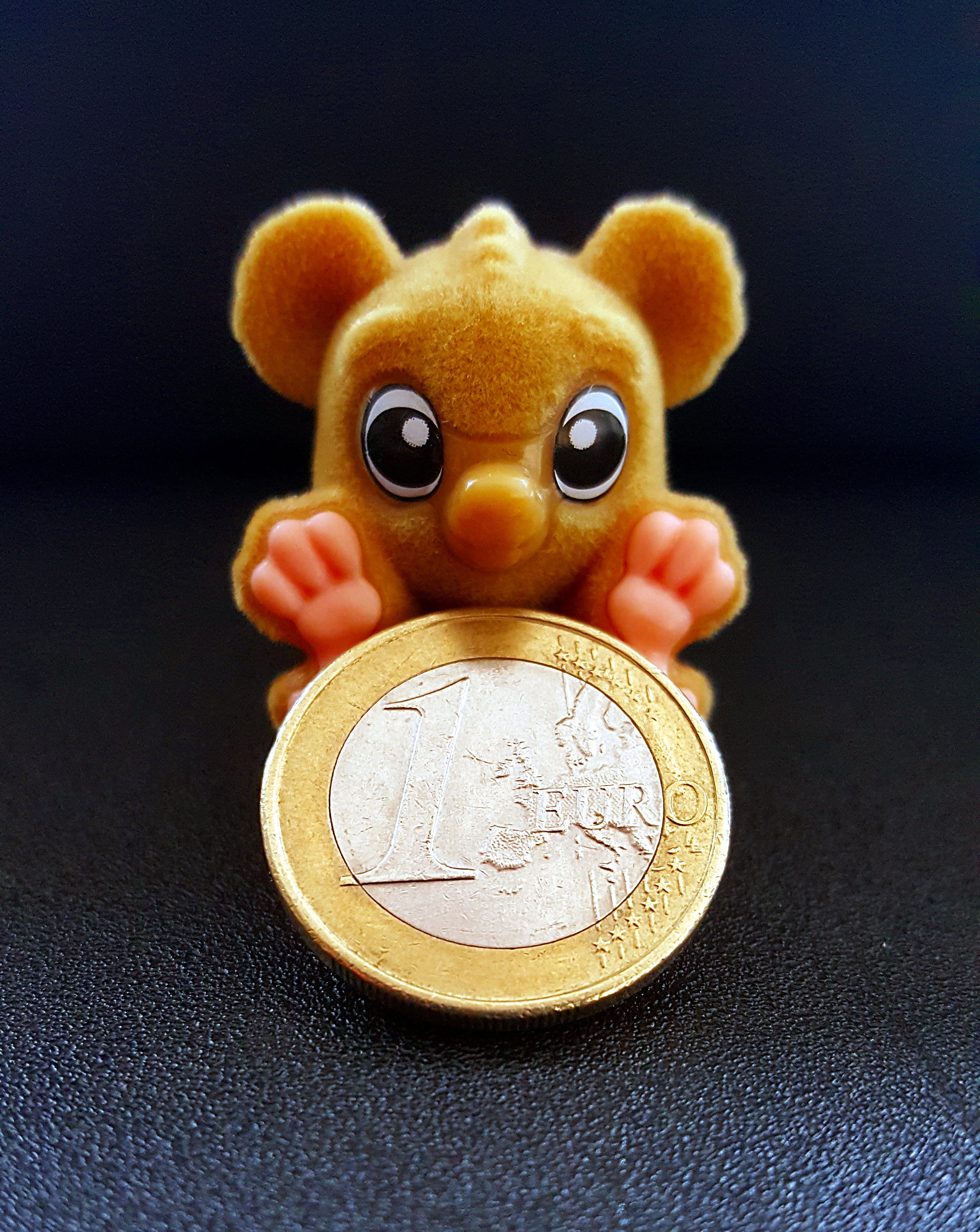 savings, economy, specie, save, sweet, table, wealth, € coin, 2K, investment, still life, metal, monkey, close-up, animal representation, ruble, cash, Phone HD Wallpaper