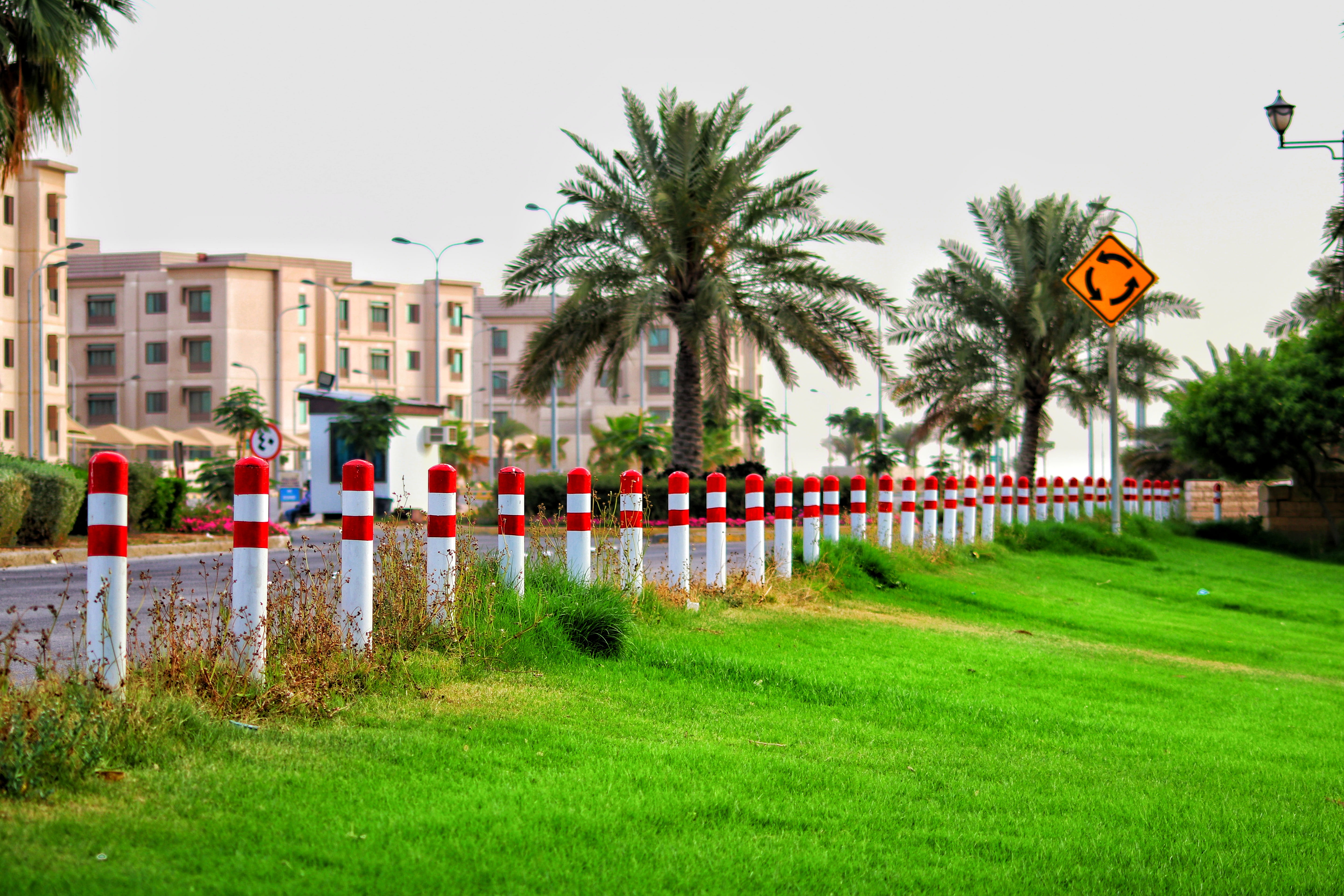 tropical climate, no people, al jubail, building, saudi arabia, lawn, residential district, travel destinations, in a row, built structure, royal commission for jubail and yanbu, HD Wallpaper