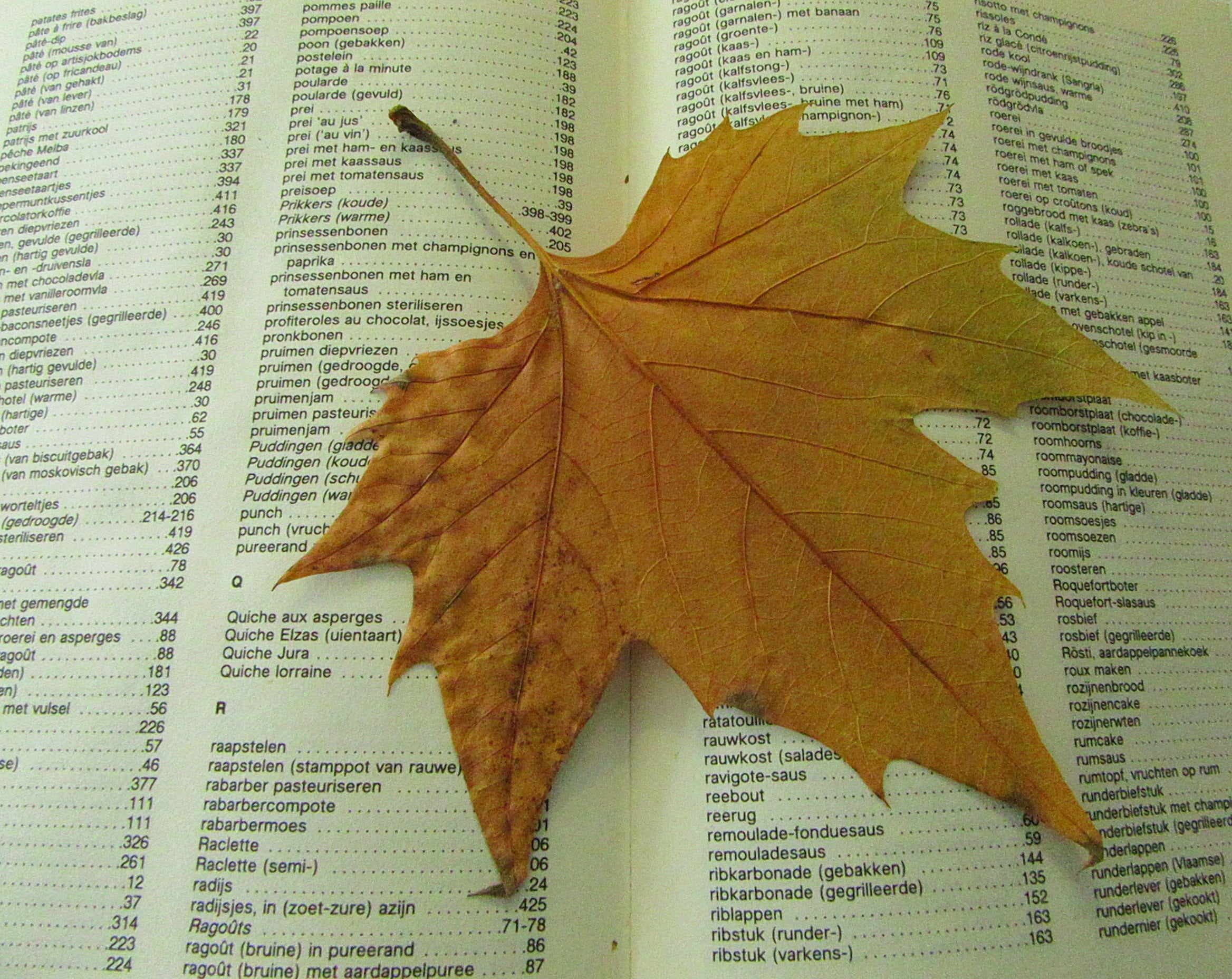 paper, close-up, high angle view, dead, publication, drying, leaves, leaf, newspaper, nature, vulnerability, autumn leaves, season, autumn leaf, 1080P, HD Wallpaper