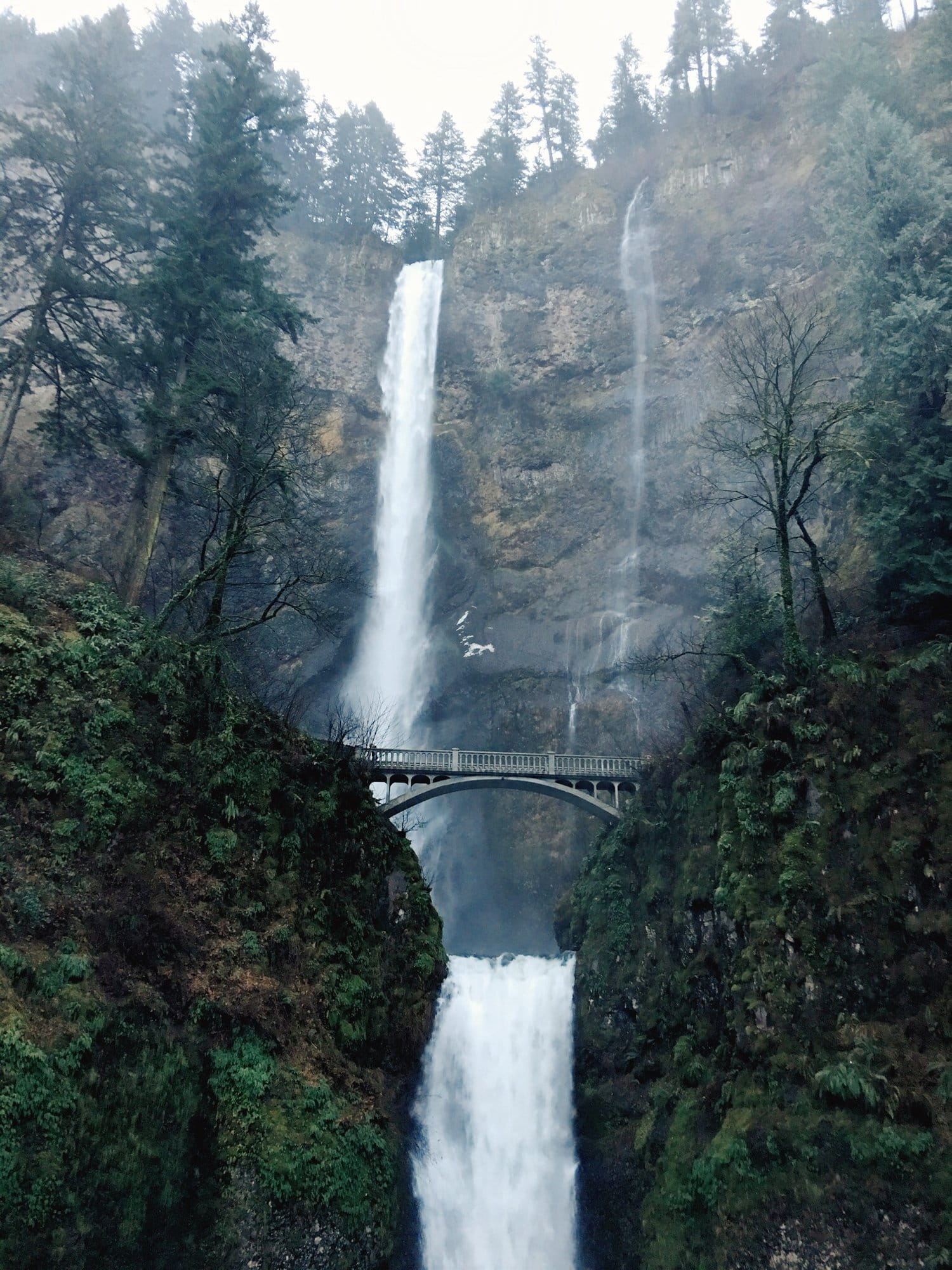 day, power in nature, bridge, nature, beauty in nature, plant, water, outdoors, connection, land, flowing water, flowing, long exposure, scenics - nature, Phone HD Wallpaper