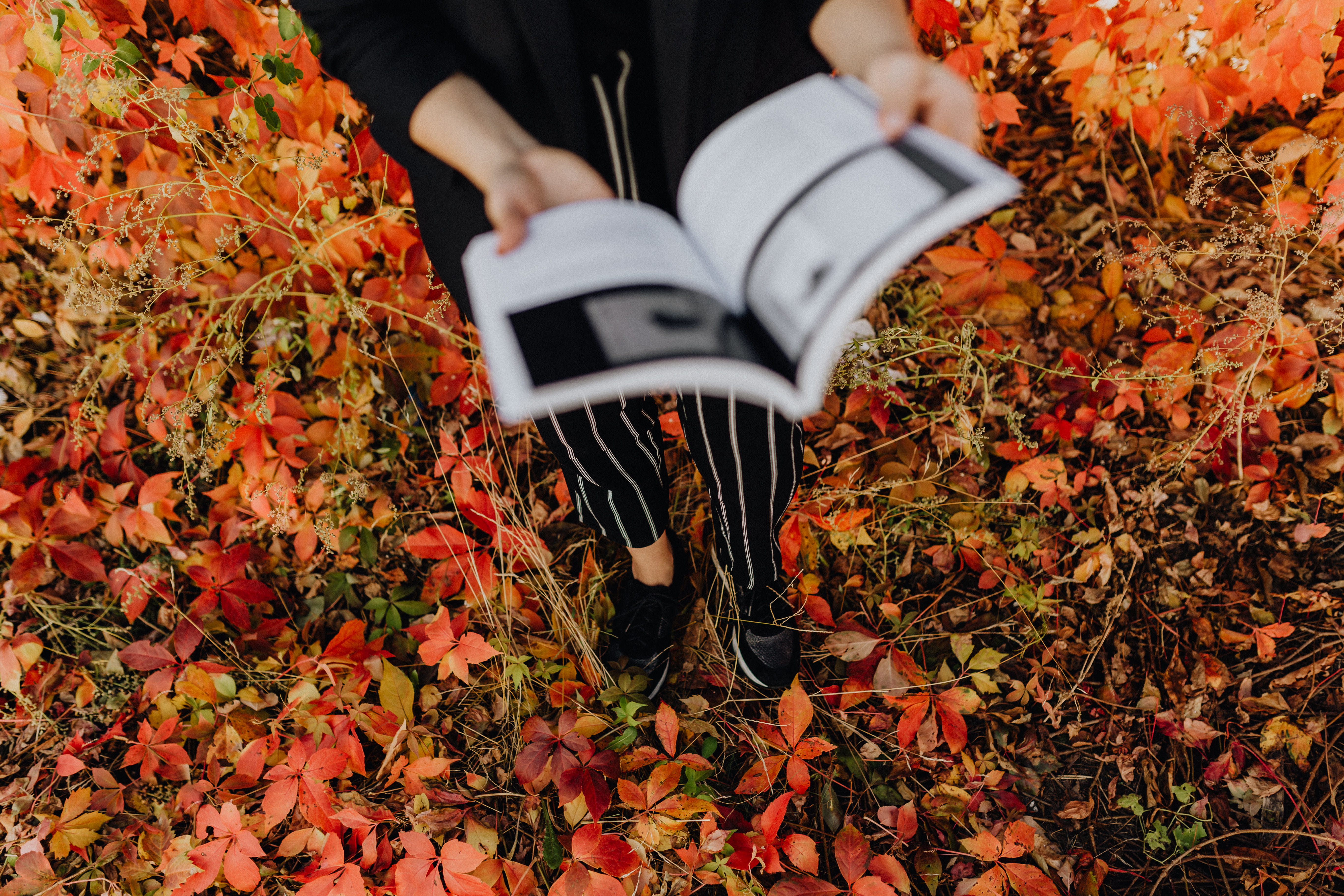 book, nature, land, plant part, plant, day, colourful, human limb, low section, standing, real people, torun, knowledge, grafconf, girl, stock photos, 5K, HD Wallpaper