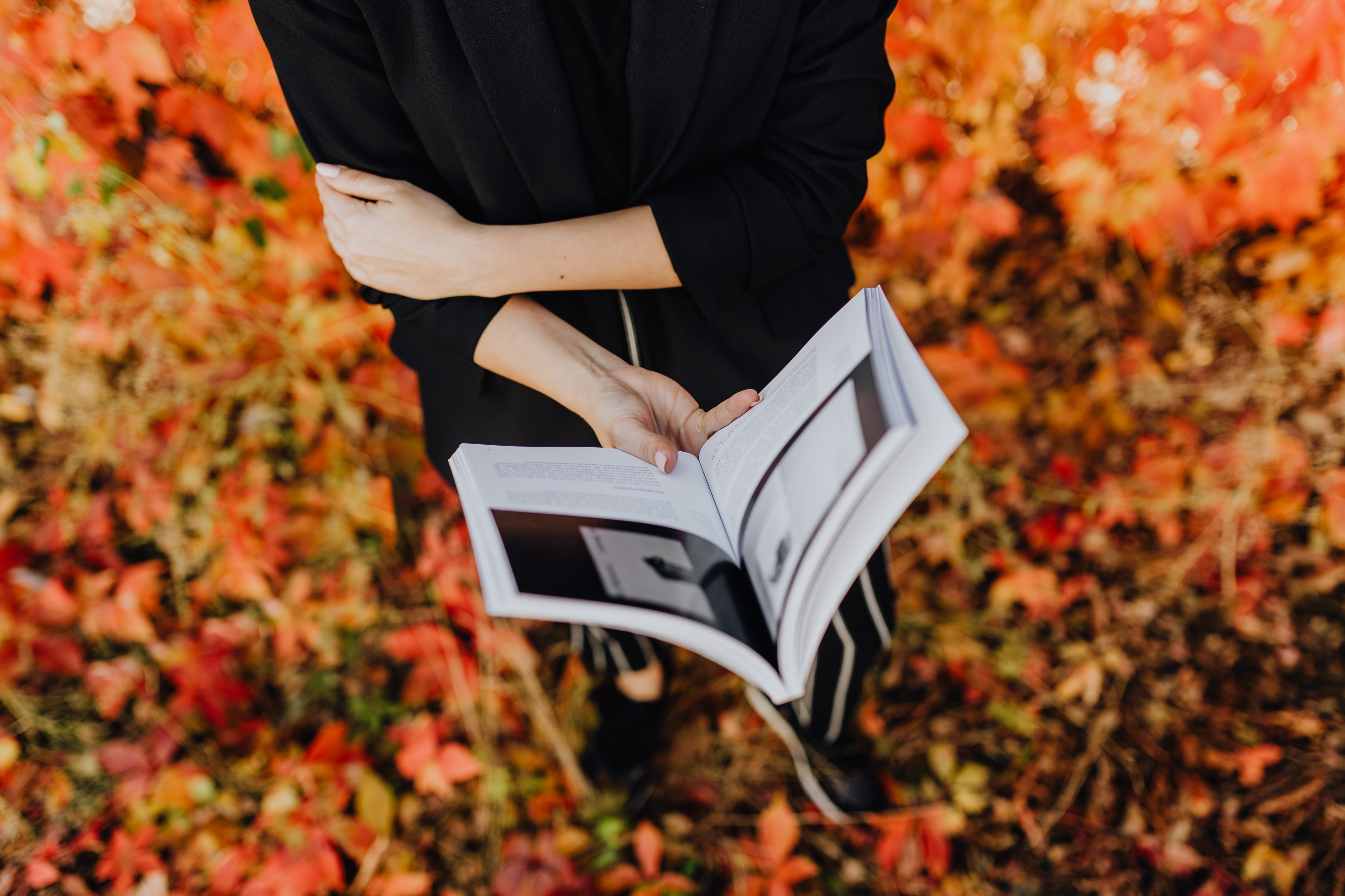 adult, book, knowledge, one person, autumn, plant part, torun, leisure activity, men, human body part, low section, midsection, real people, change, study, HD Wallpaper